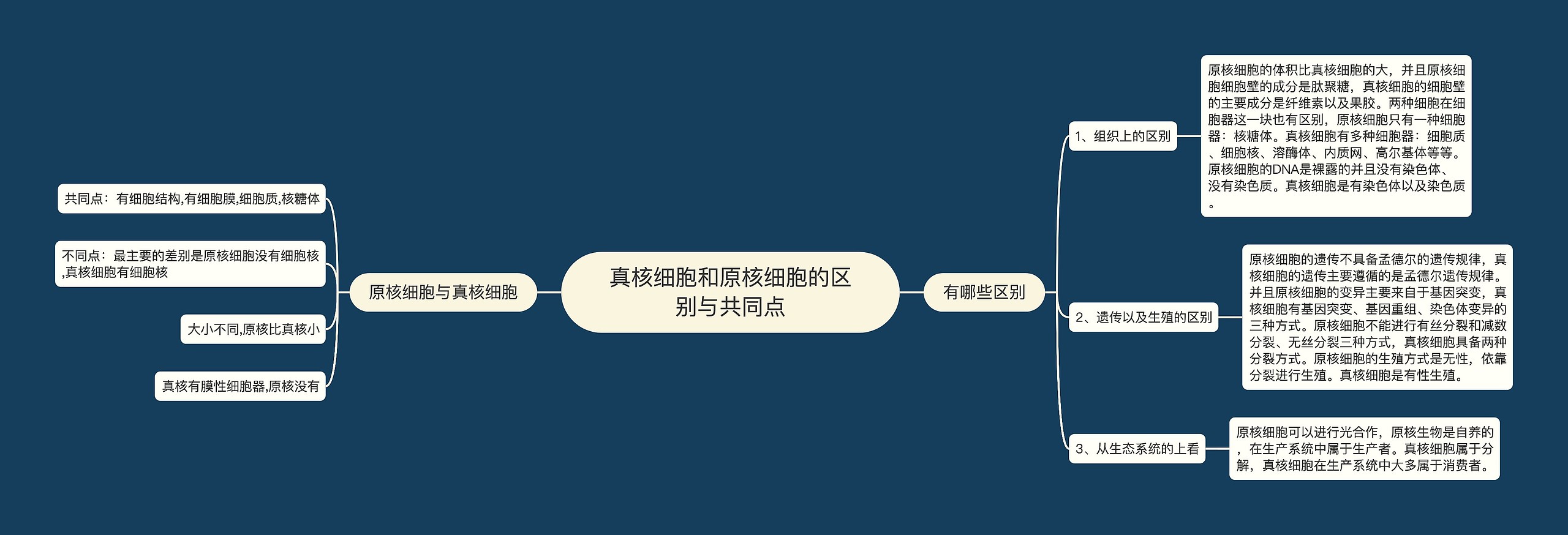 真核细胞和原核细胞的区别与共同点 真核细胞和原核细胞的区别与共同点