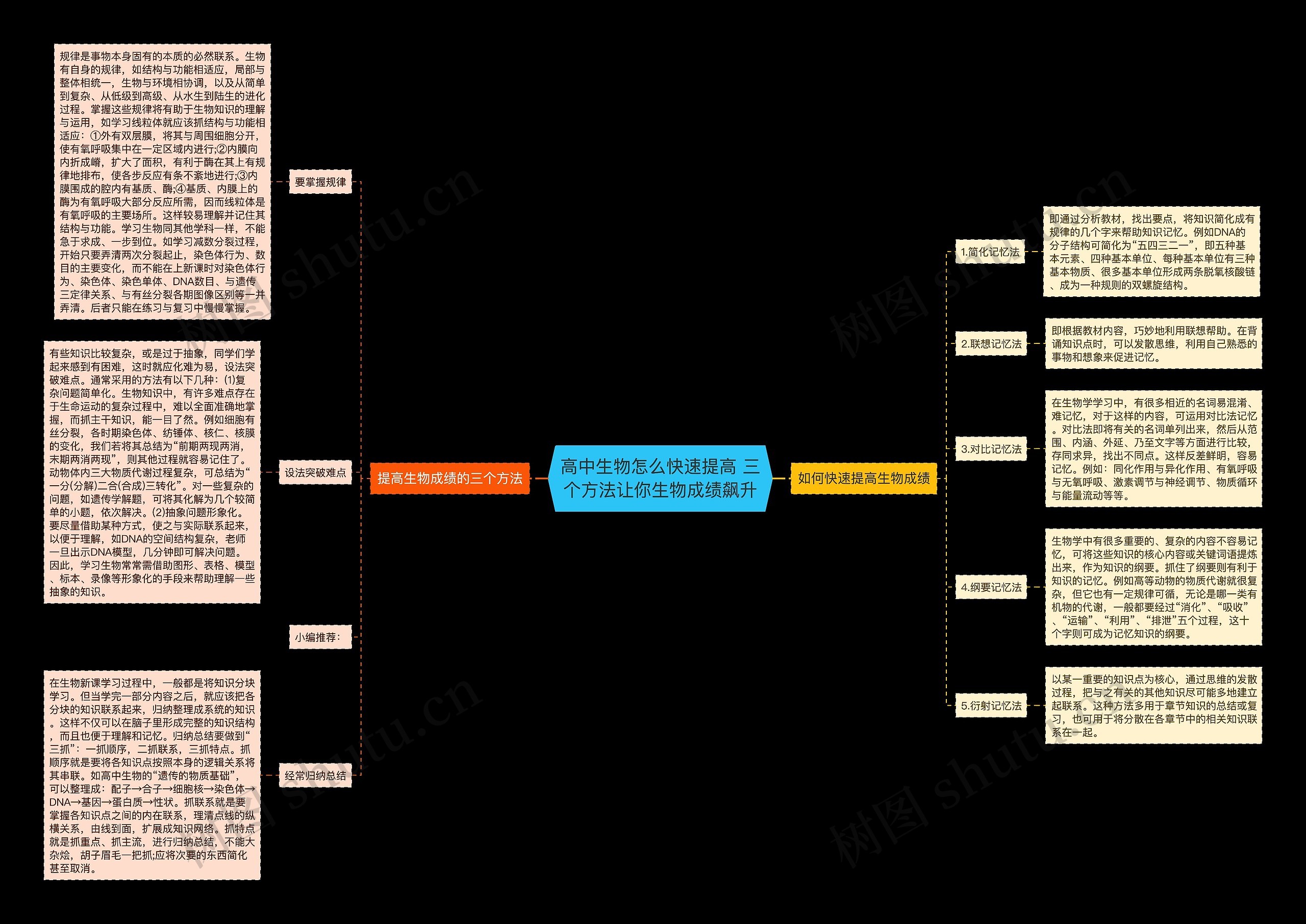 高中生物怎么快速提高 三个方法让你生物成绩飙升思维导图