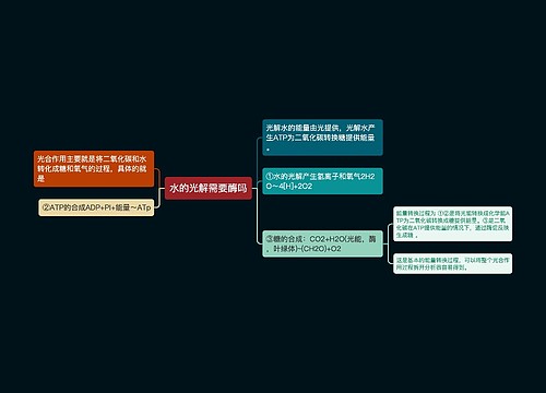 水的光解需要酶吗