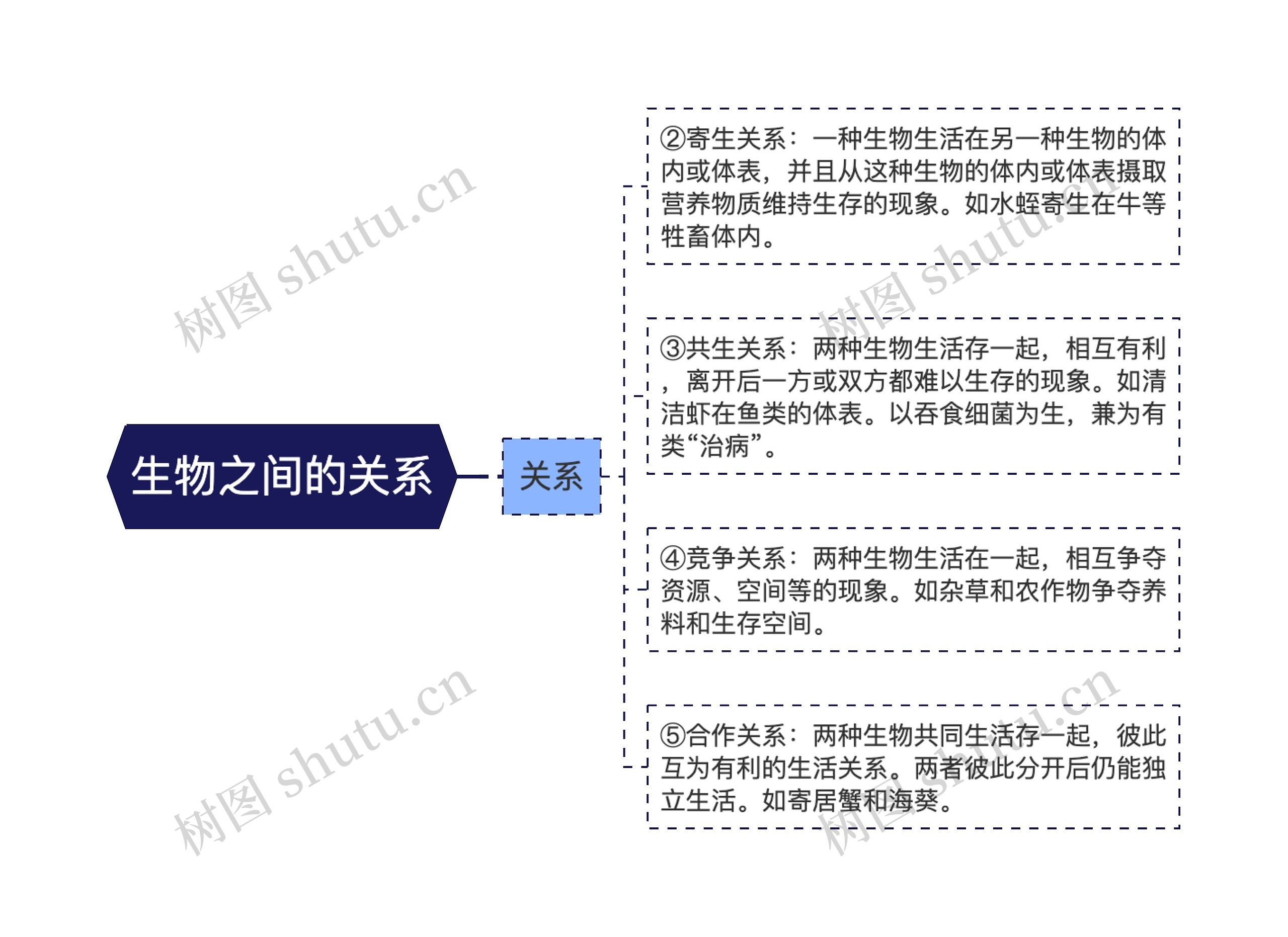 生物之间的关系思维导图