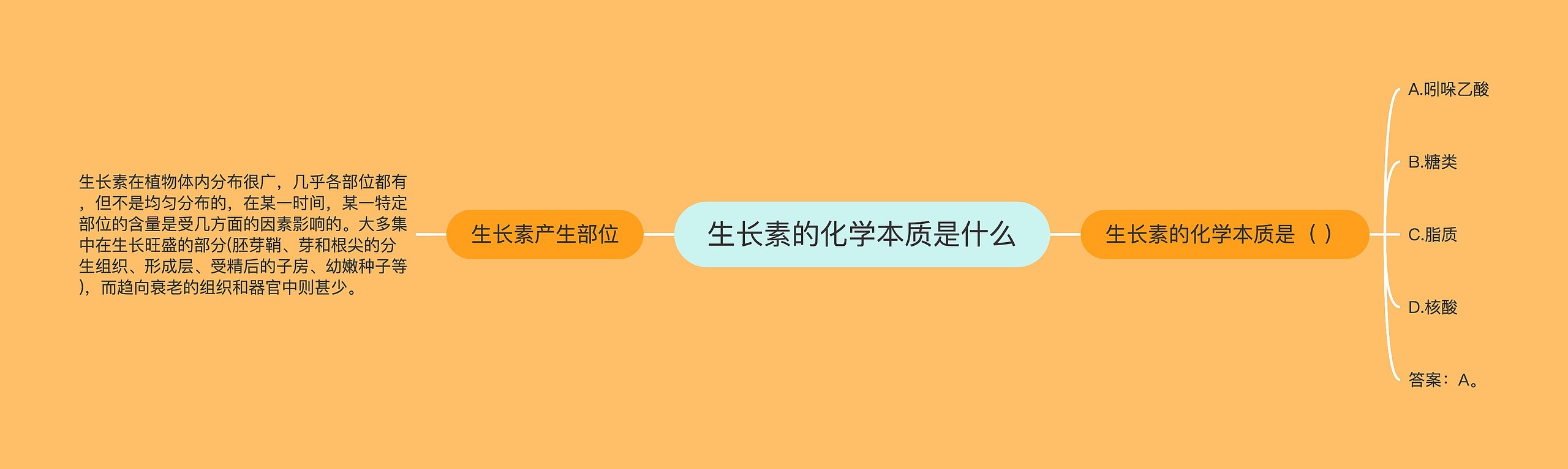 生长素的化学本质是什么