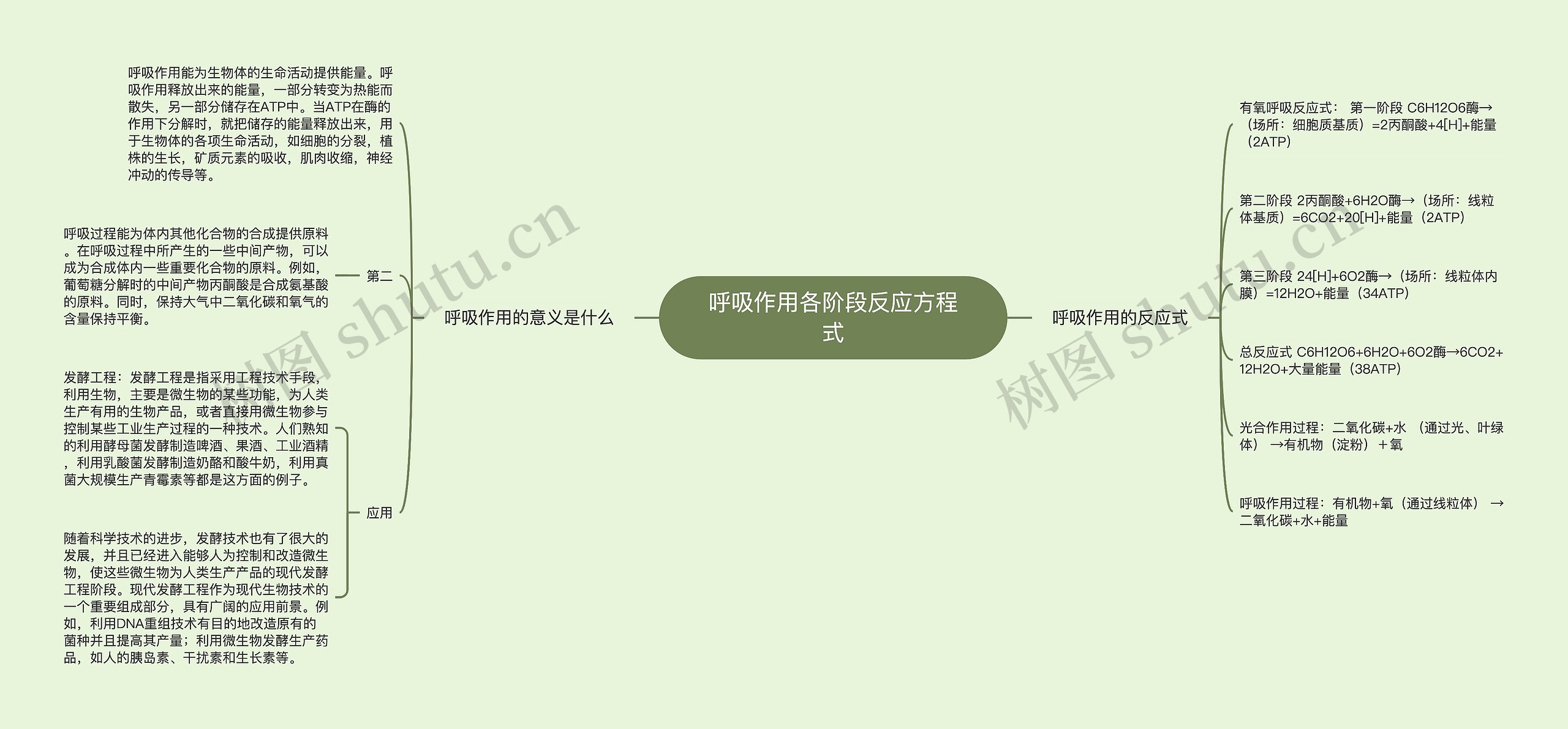 呼吸作用各阶段反应方程式