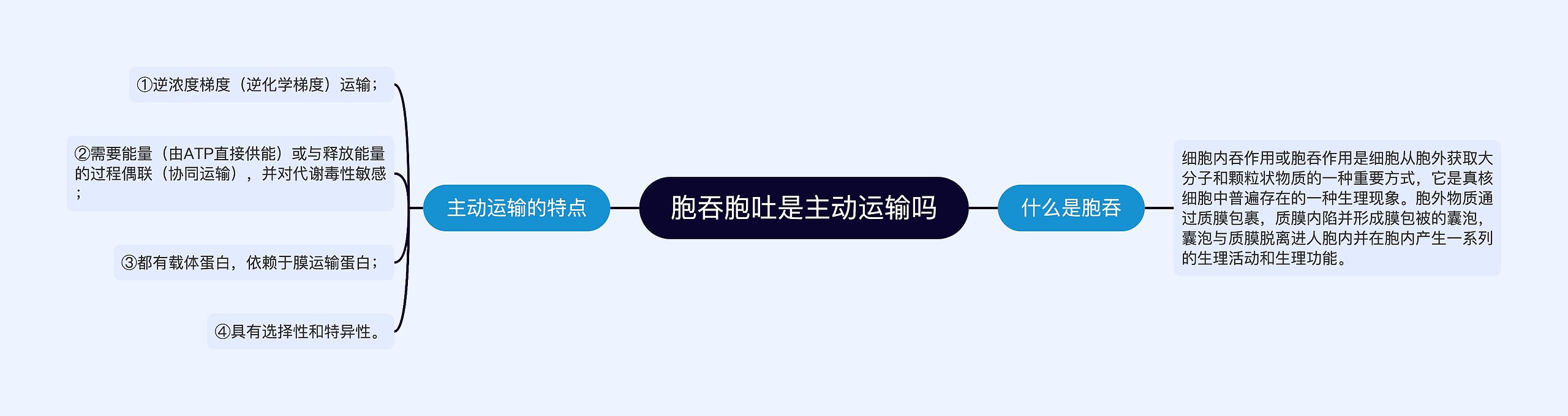 胞吞胞吐是主动运输吗