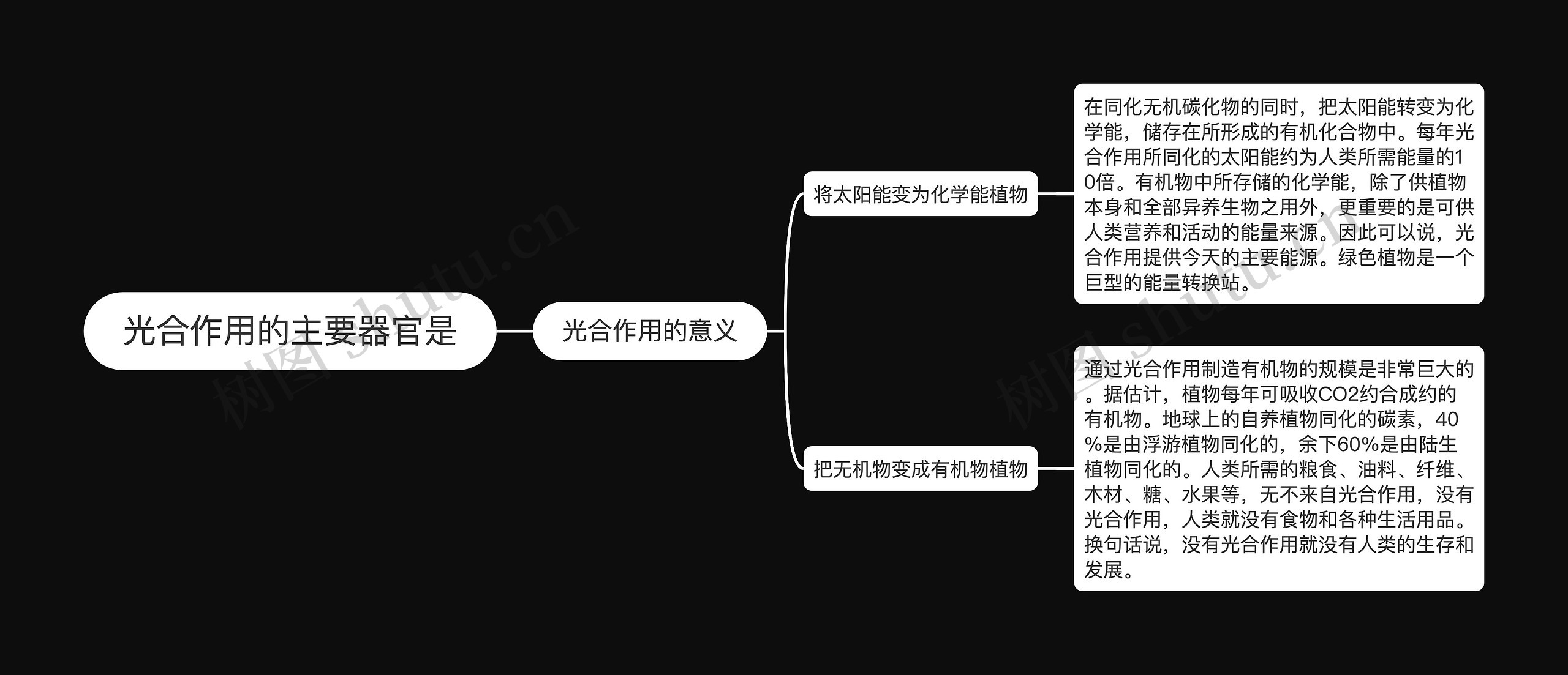 光合作用的主要器官是思维导图