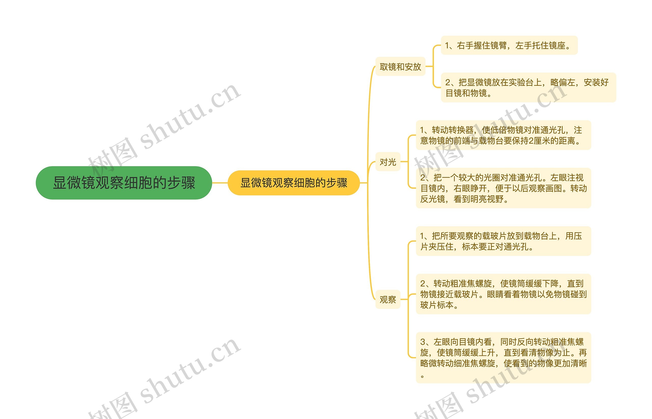 显微镜观察细胞的步骤思维导图