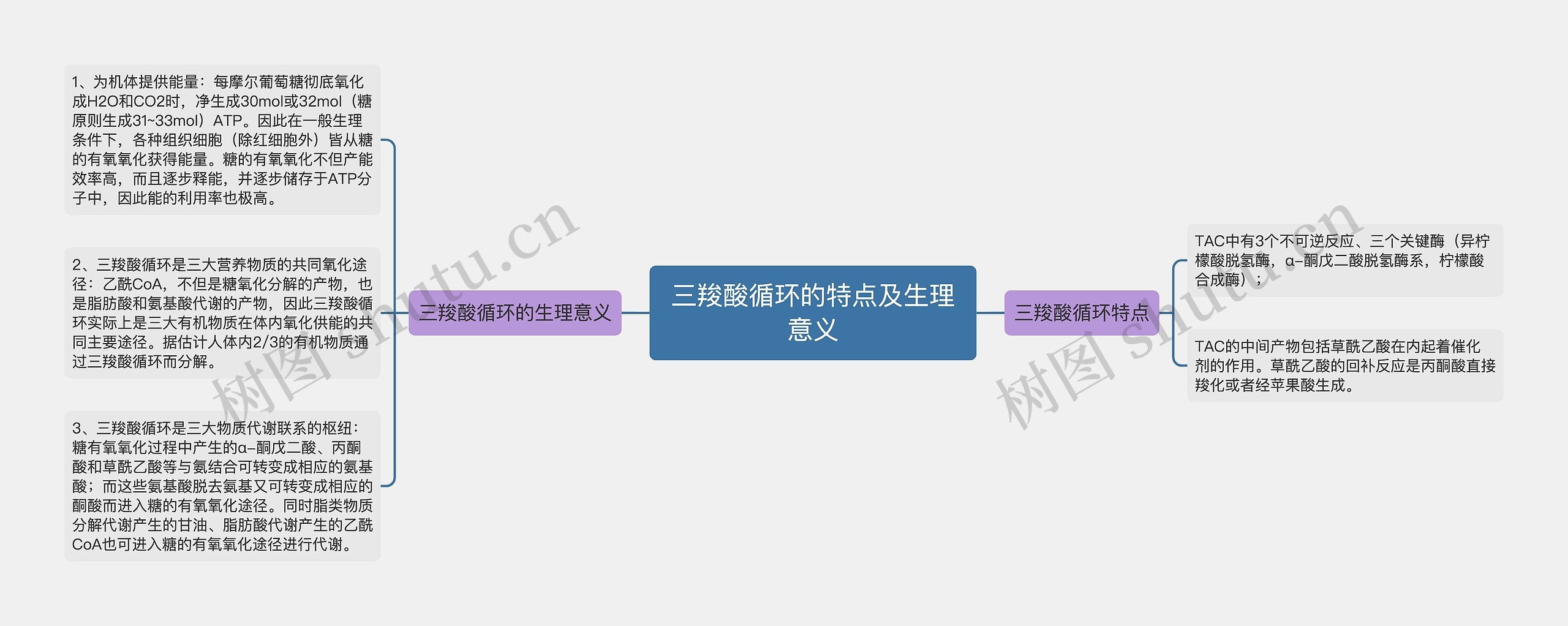 三羧酸循环的特点及生理意义