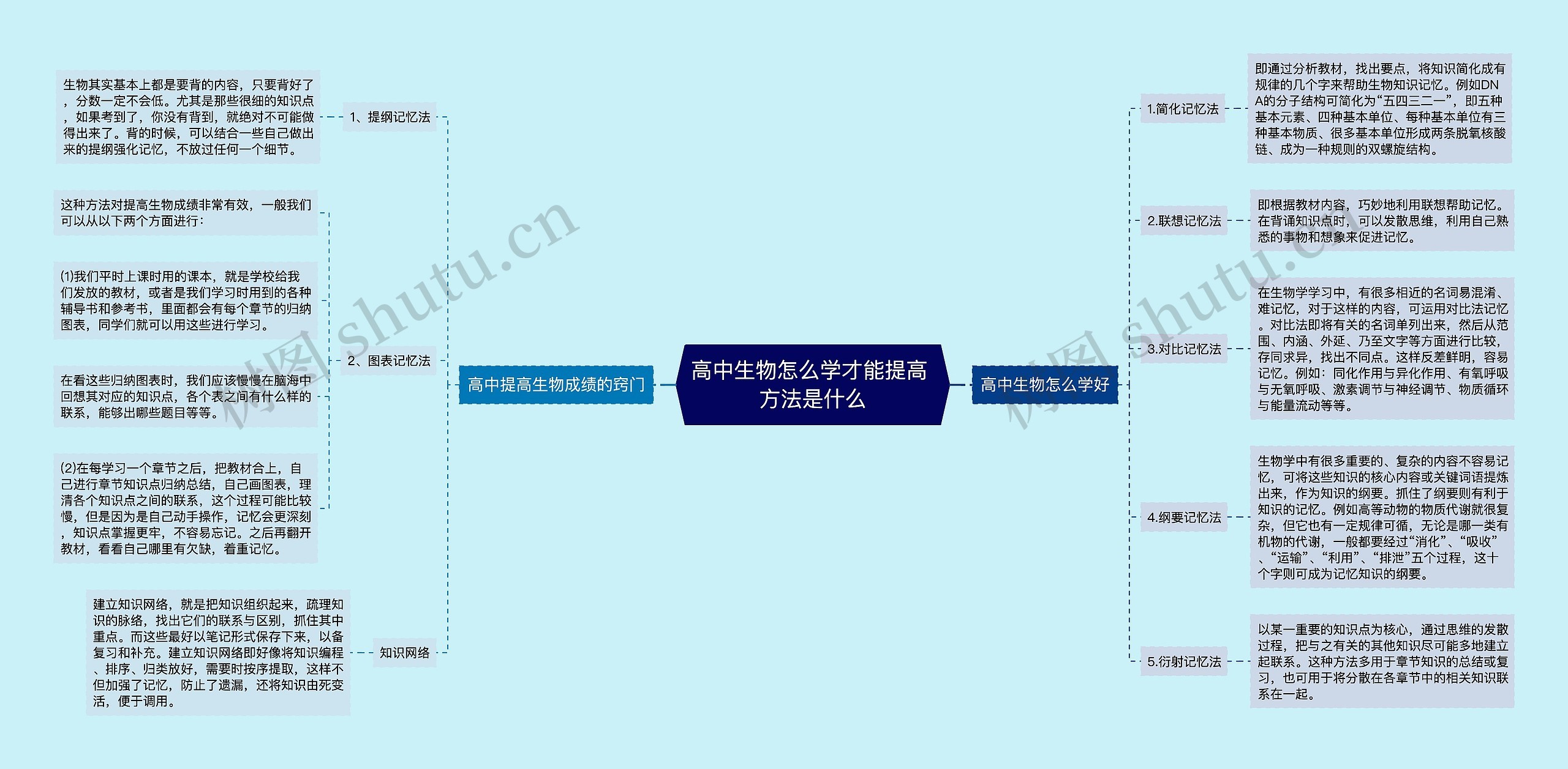 高中生物怎么学才能提高 方法是什么思维导图