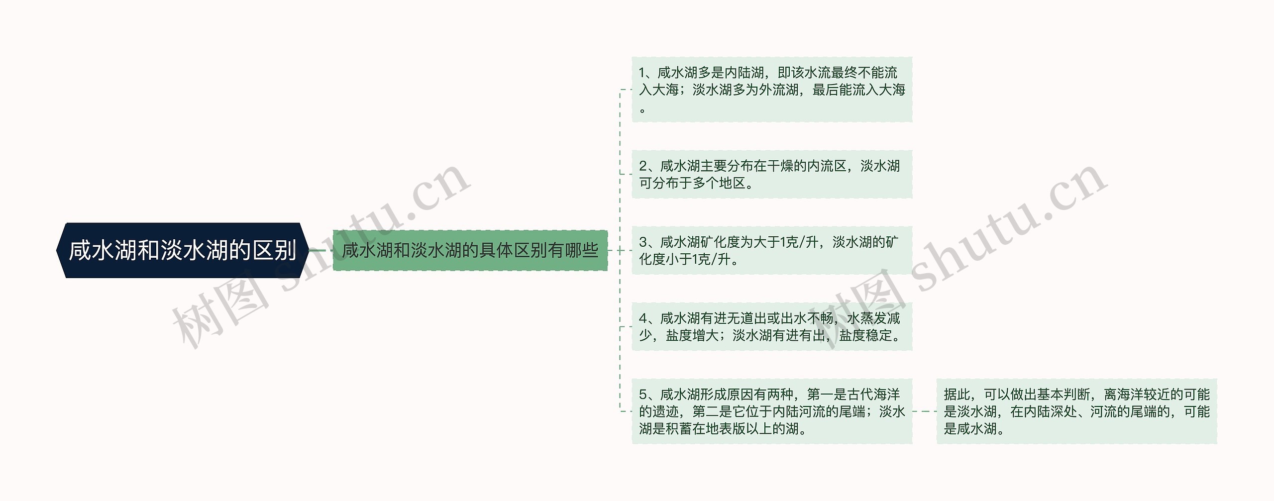 咸水湖和淡水湖的区别思维导图