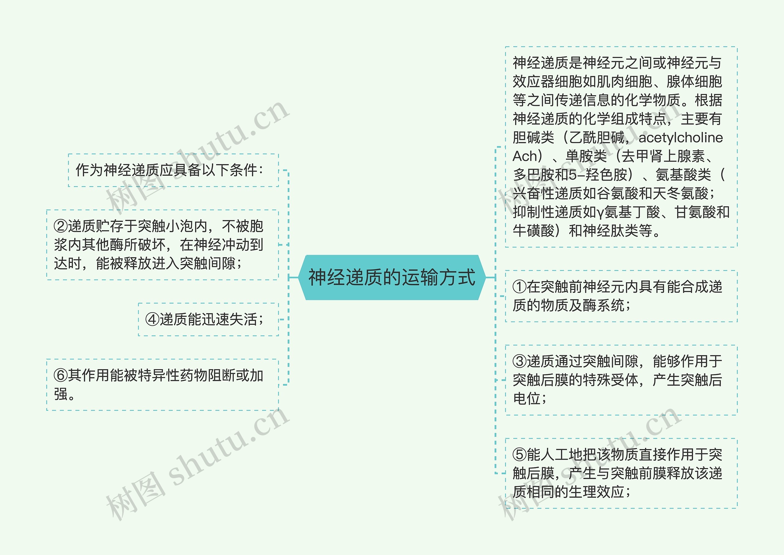 神经递质的运输方式思维导图