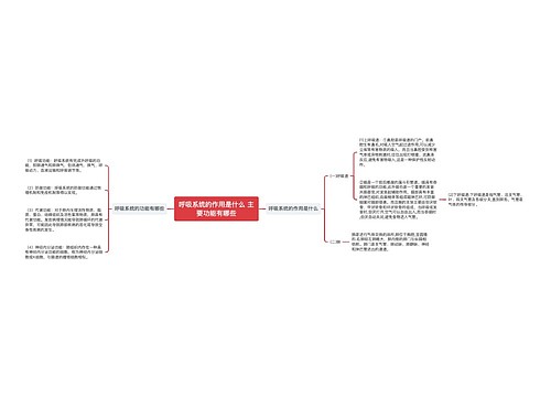 呼吸系统的作用是什么 主要功能有哪些