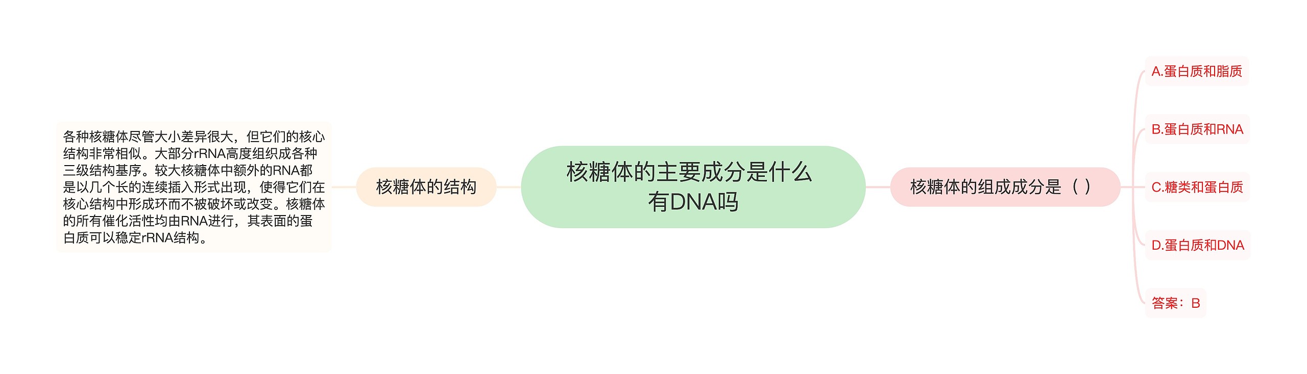 核糖体的主要成分是什么 有DNA吗