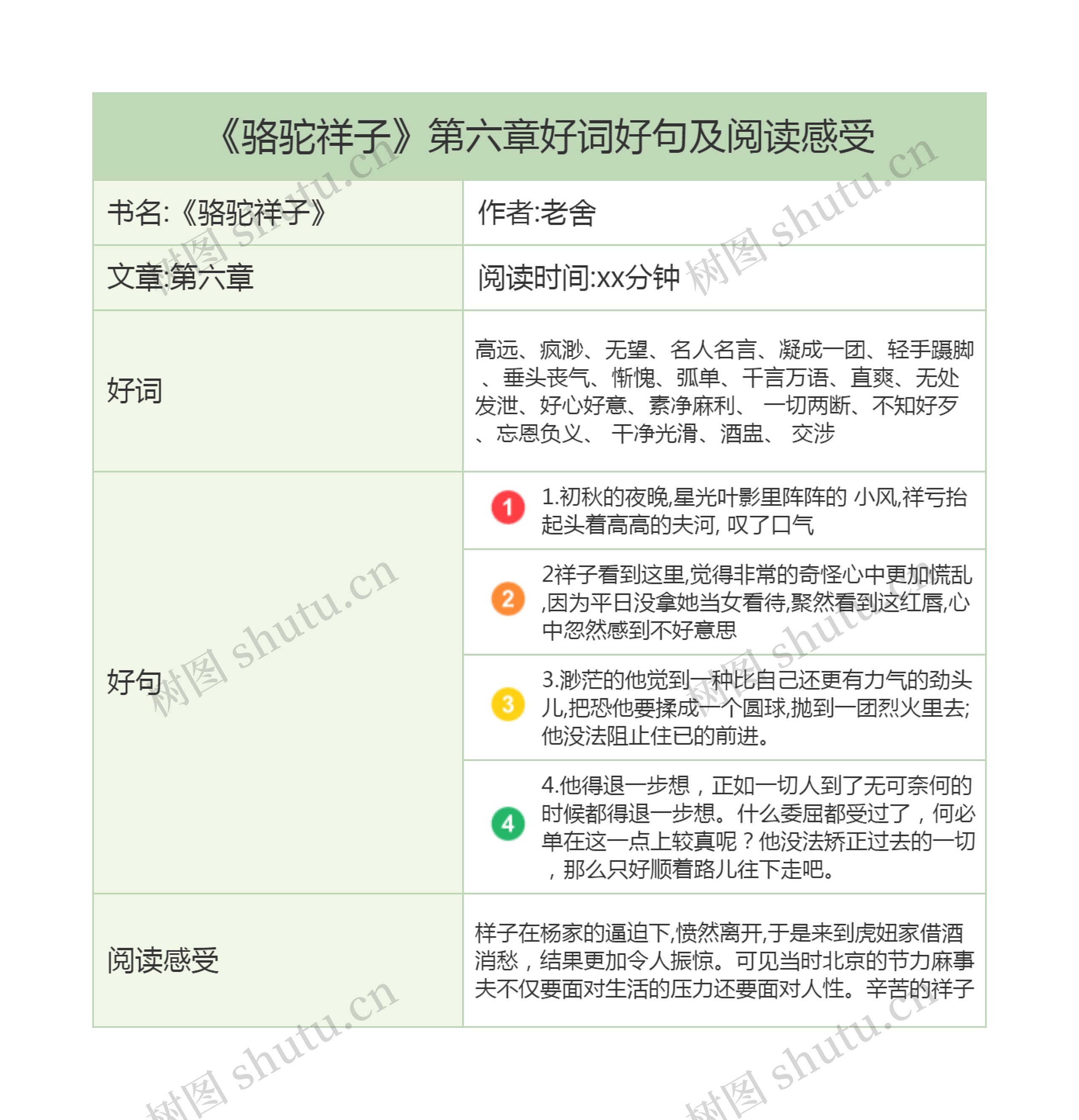 《骆驼祥子》第六章好词好句及阅读感受