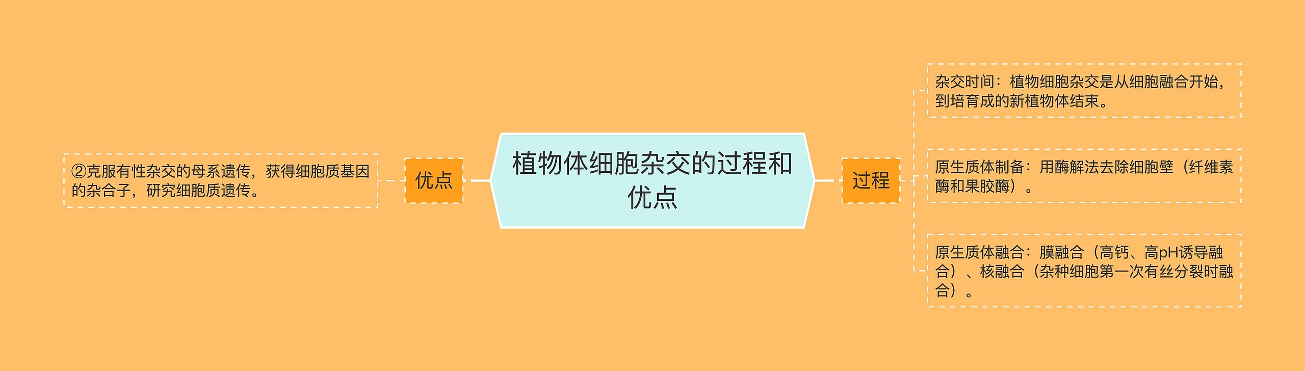 植物体细胞杂交的过程和优点思维导图