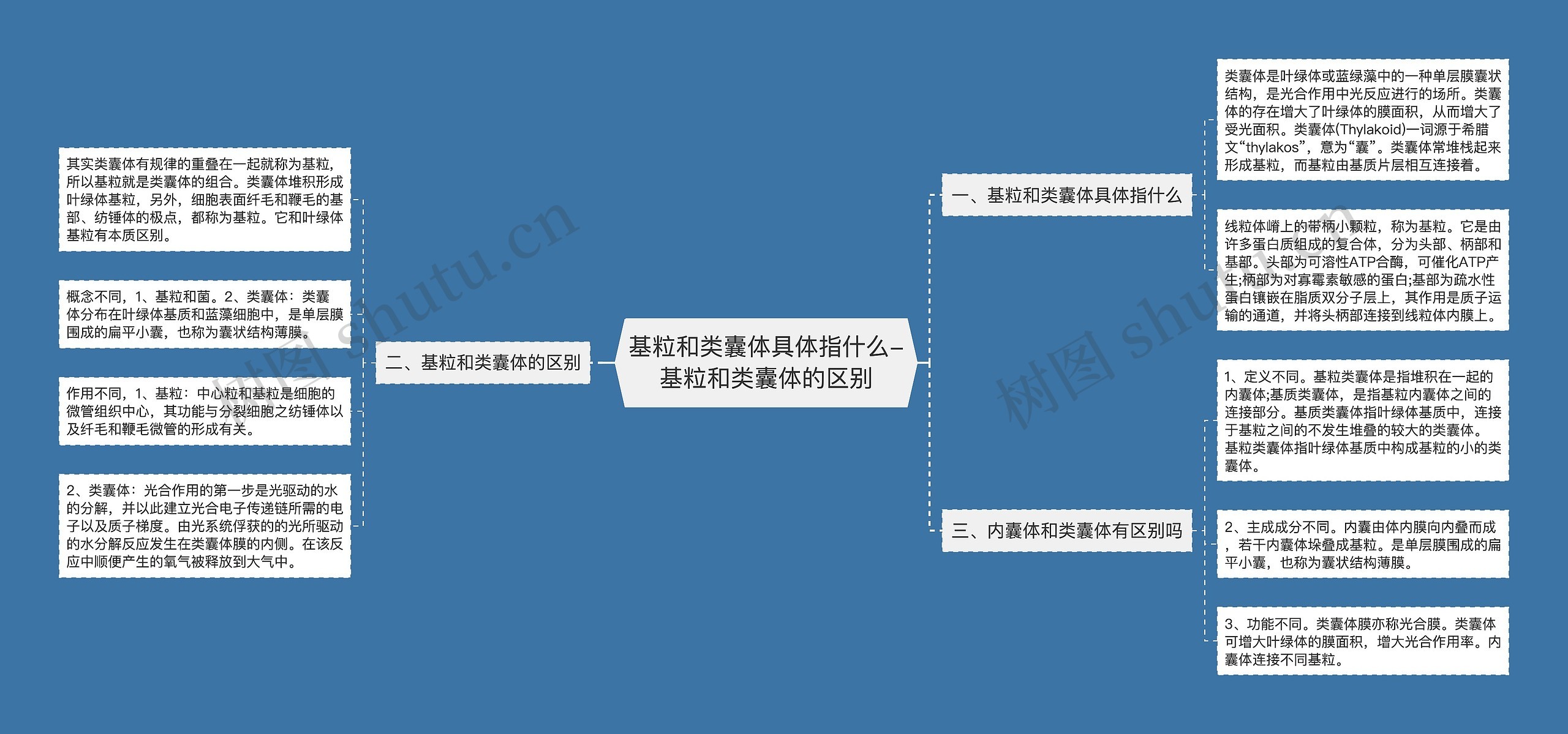 基粒和类囊体具体指什么-基粒和类囊体的区别思维导图