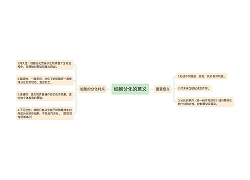 细胞分化的意义