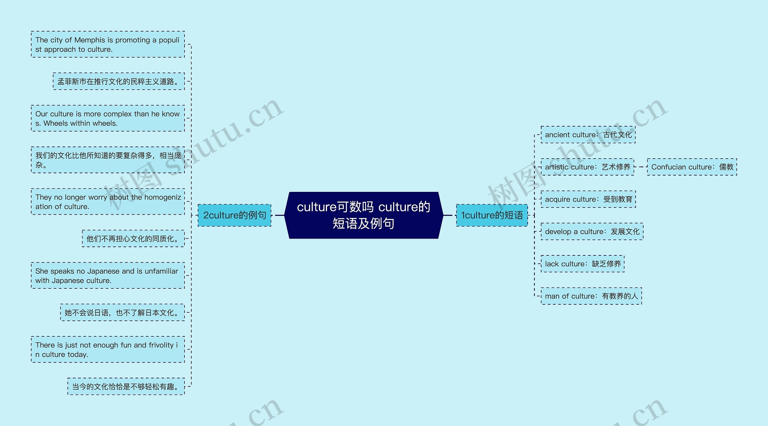 culture可数吗 culture的短语及例句思维导图