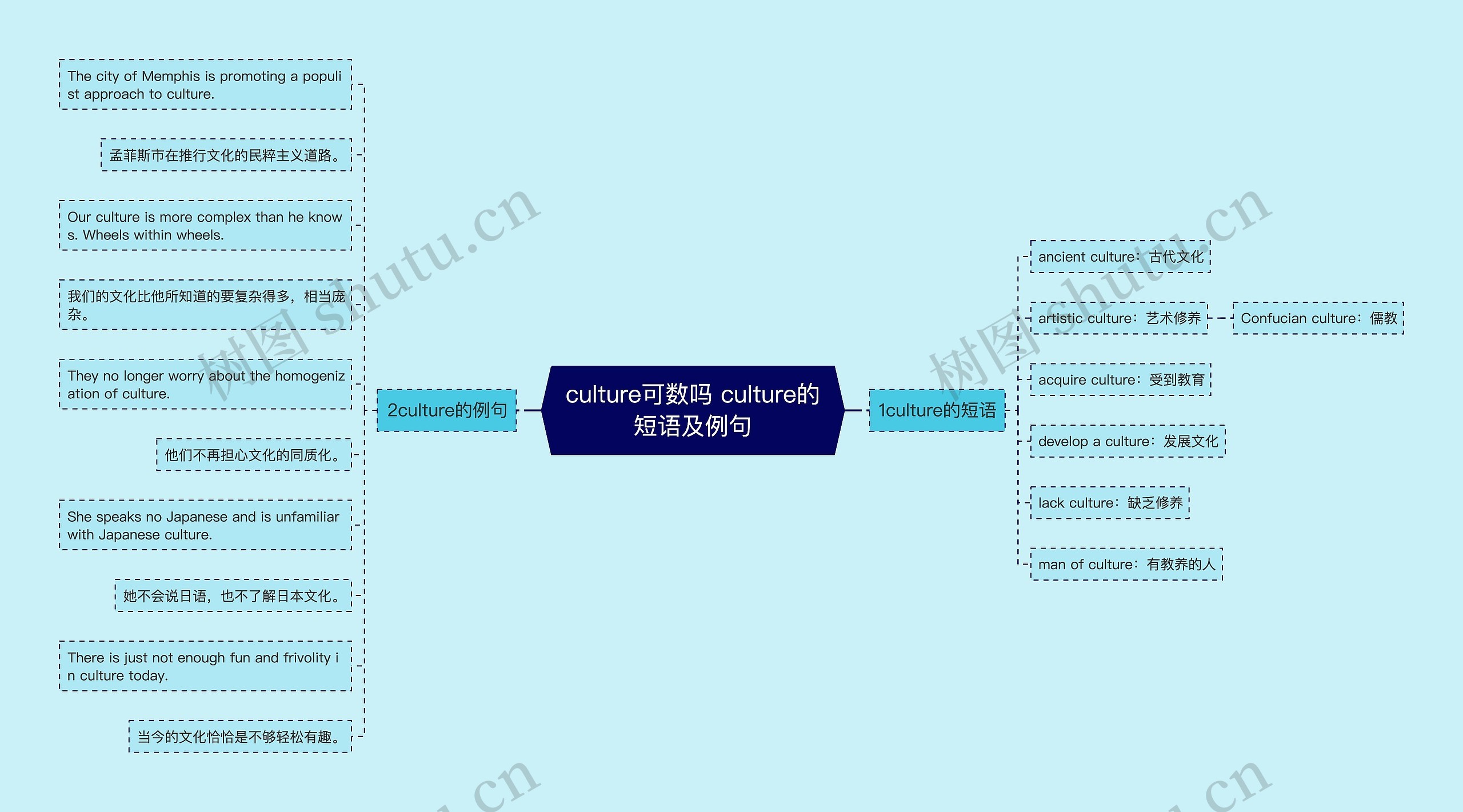 culture可数吗 culture的短语及例句 culture可数吗 culture的短语及例句