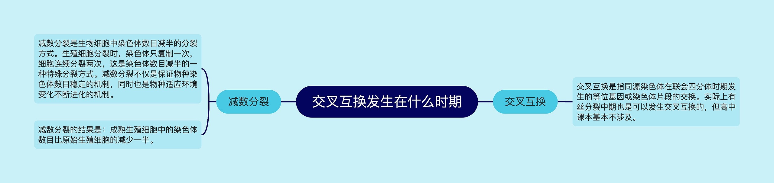 交叉互换发生在什么时期思维导图