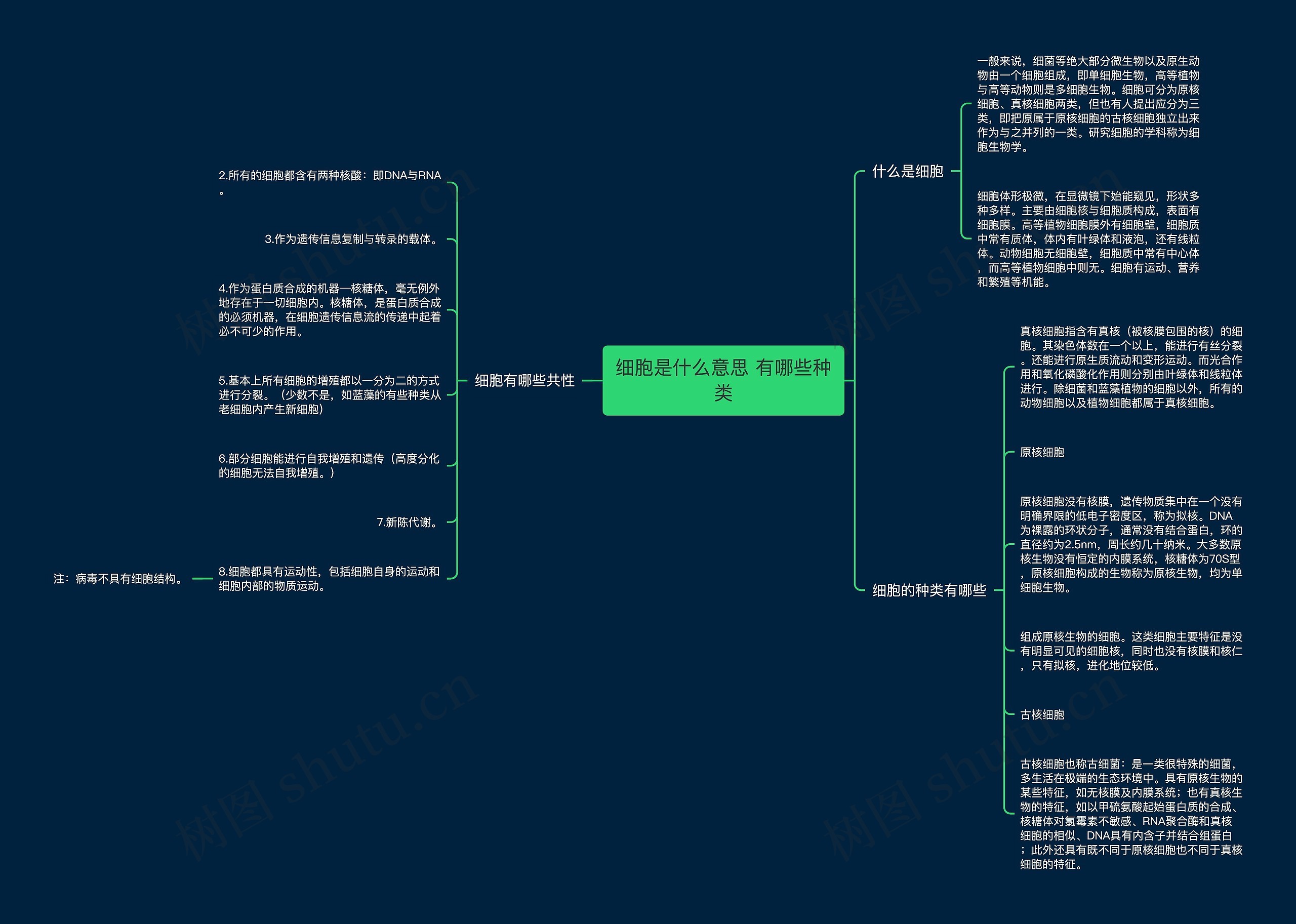 细胞是什么意思 有哪些种类思维导图