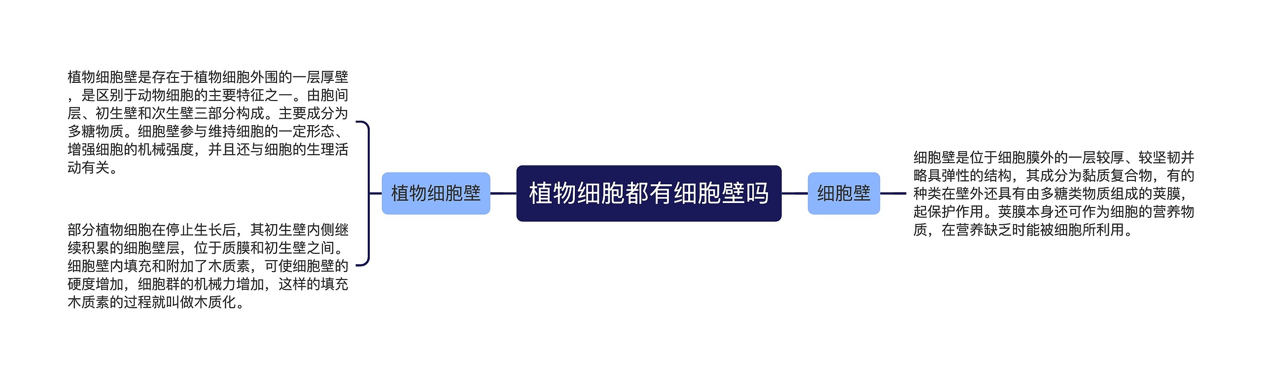 植物细胞都有细胞壁吗