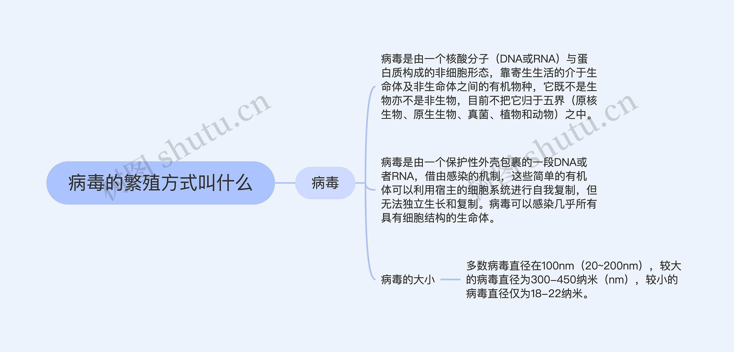 病毒的繁殖方式叫什么