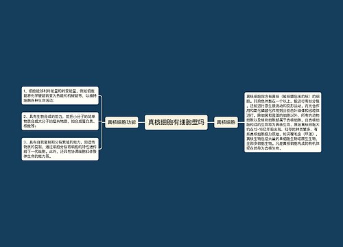 真核细胞有细胞壁吗