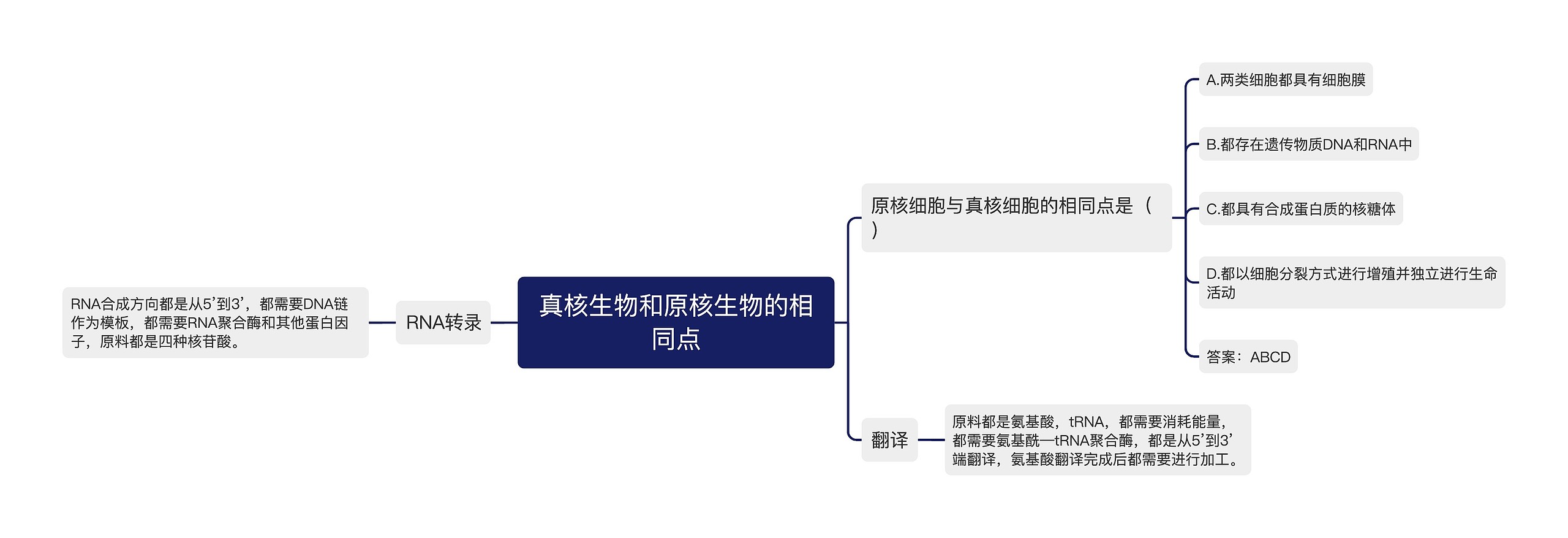 真核生物和原核生物的相同点