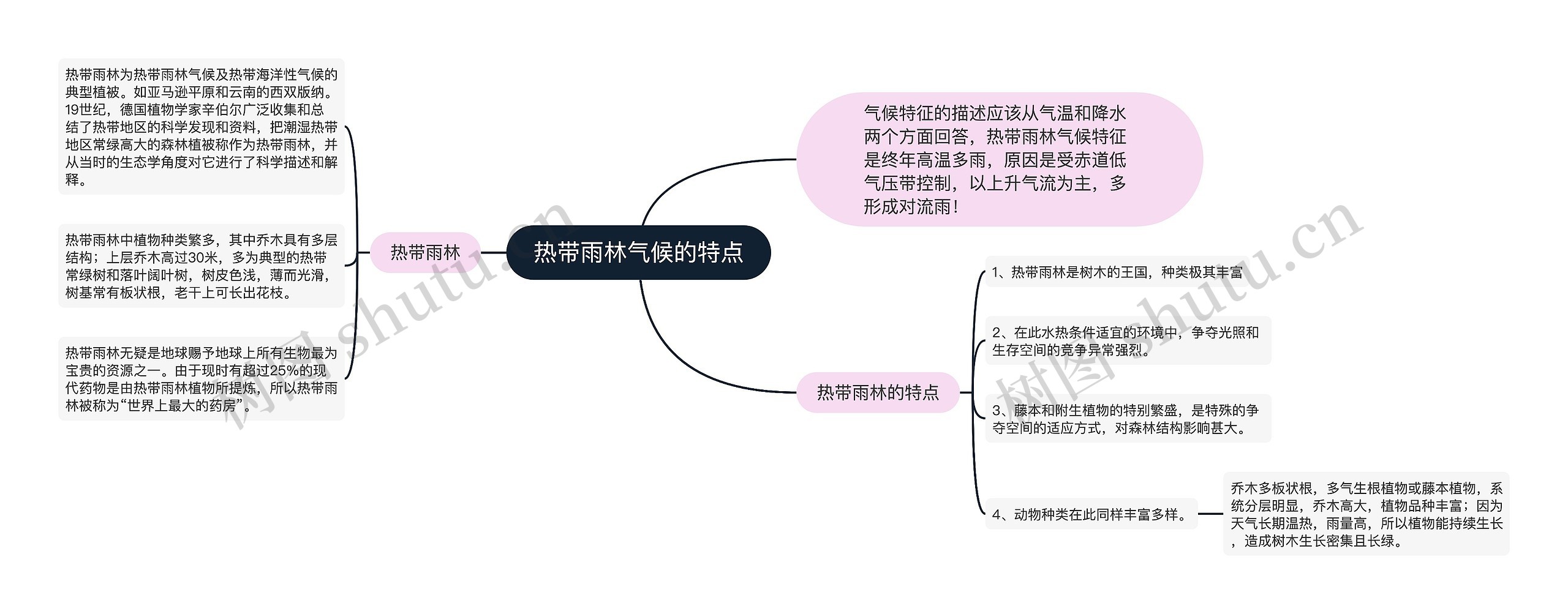 热带雨林气候的特点