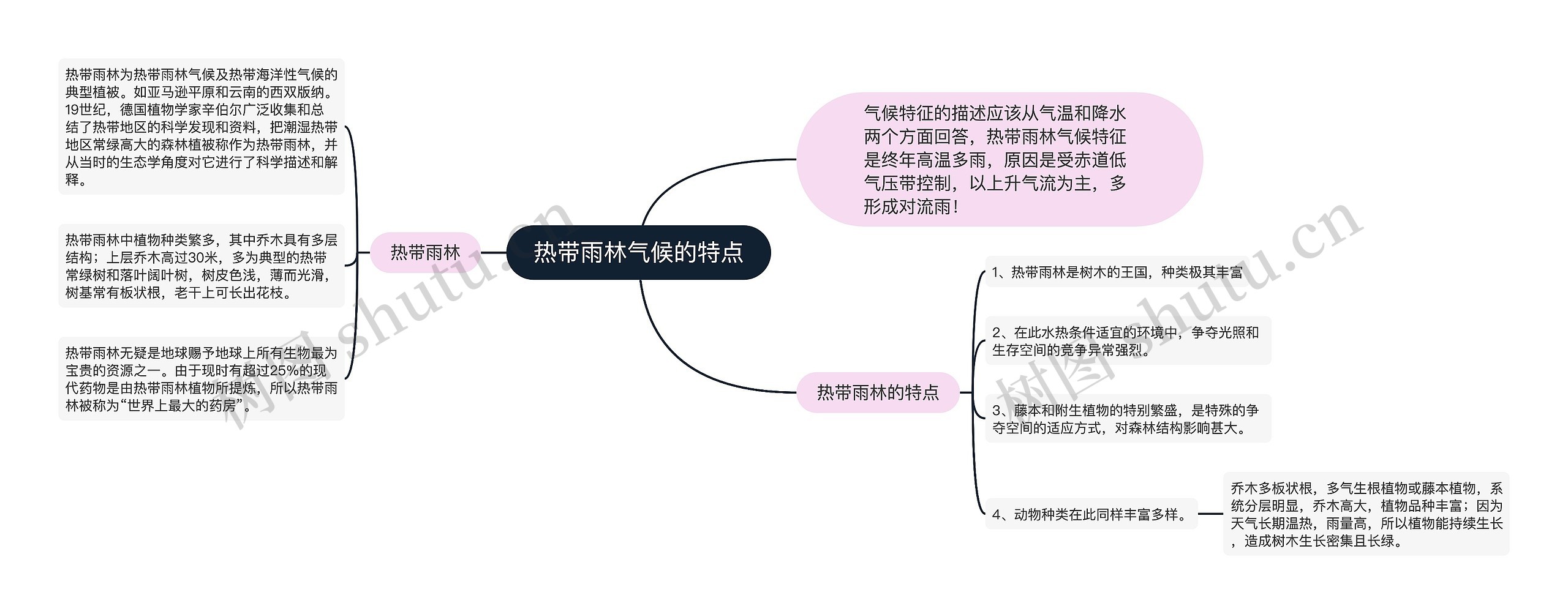 热带雨林气候的特点思维导图