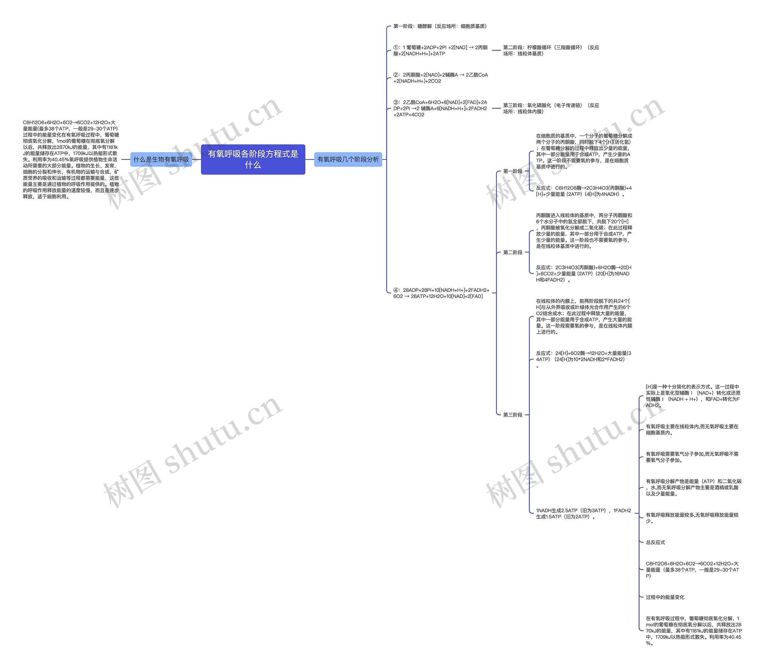 有氧呼吸各阶段方程式是什么思维导图
