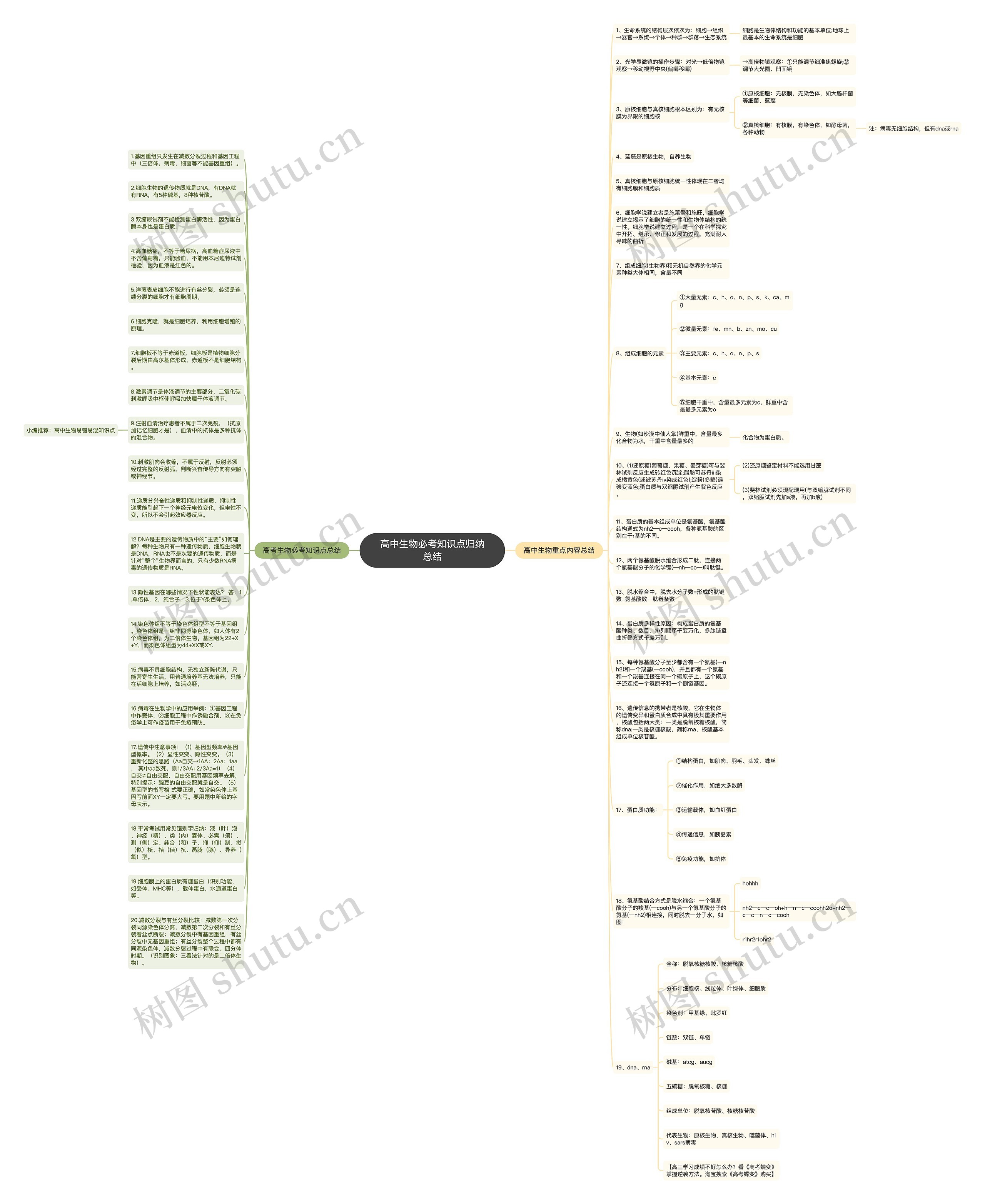 高中生物必考知识点归纳总结思维导图