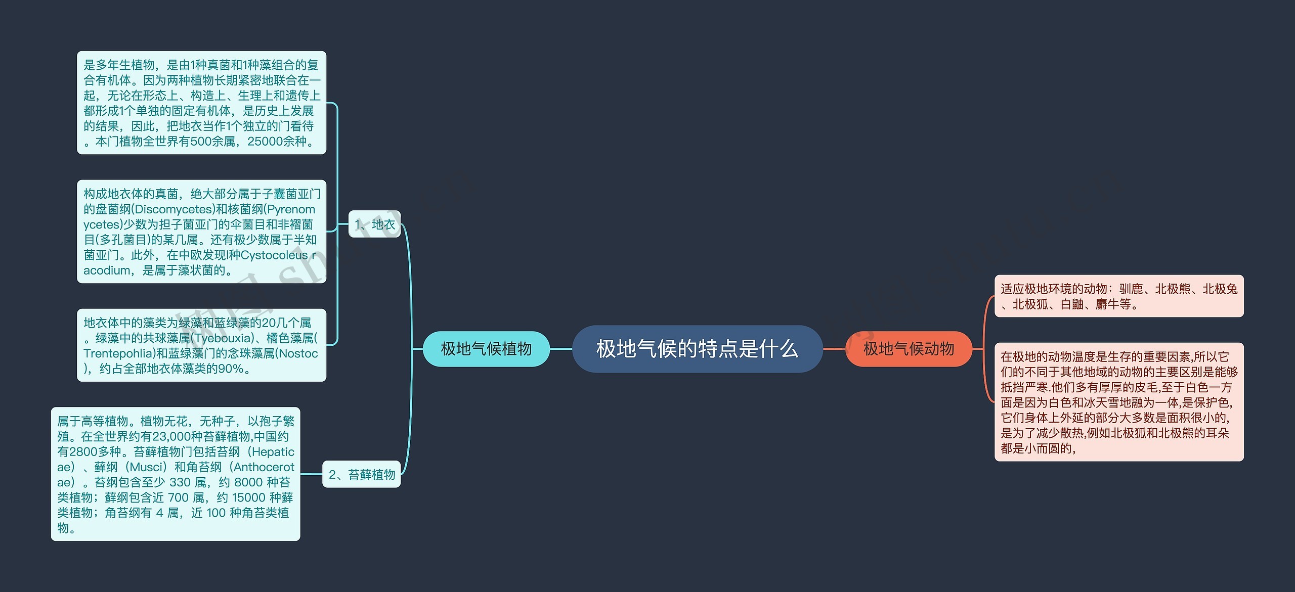 极地气候的特点是什么思维导图