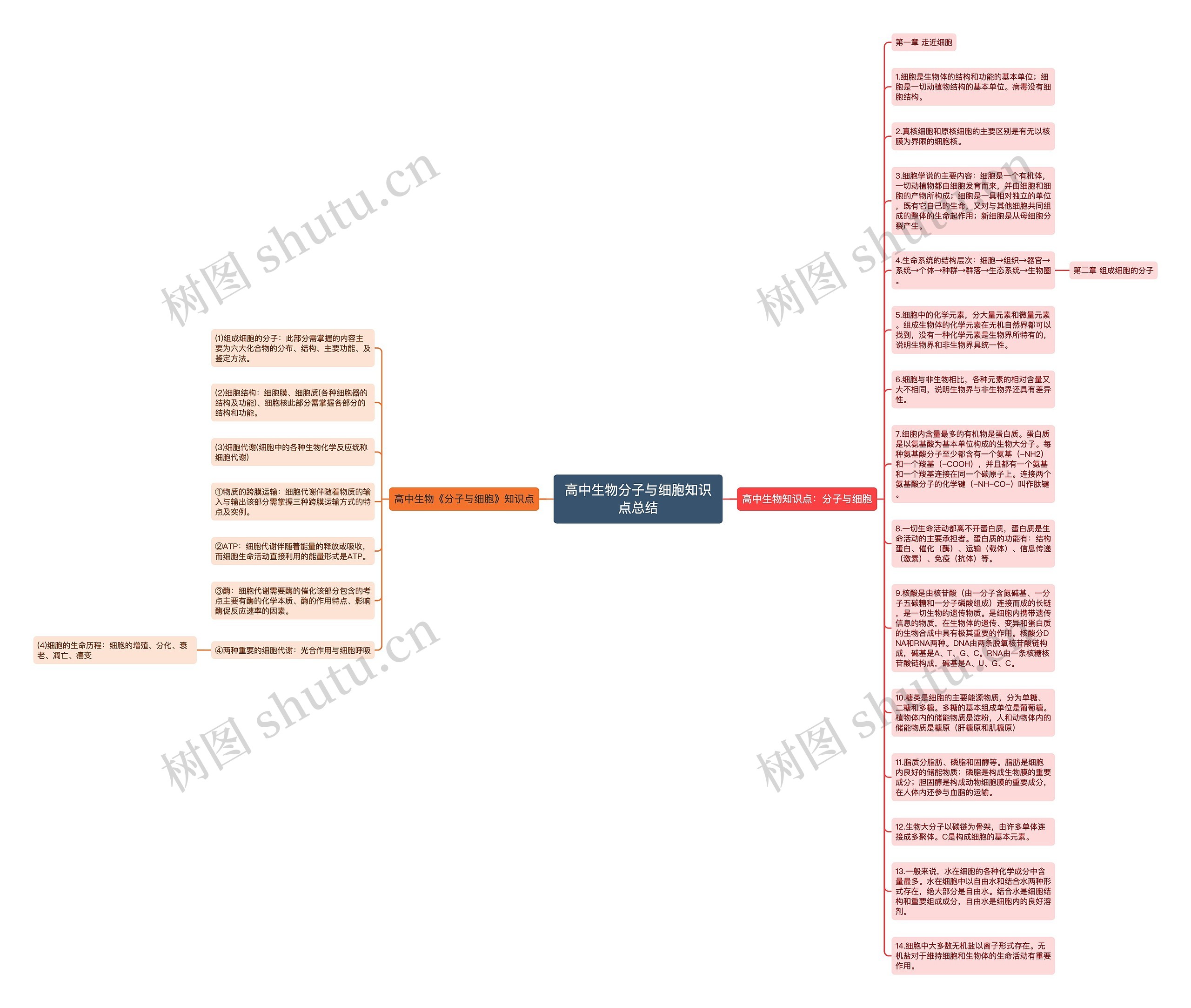 高中生物分子与细胞知识点总结思维导图