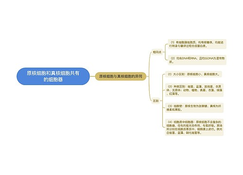 原核细胞和真核细胞共有的细胞器