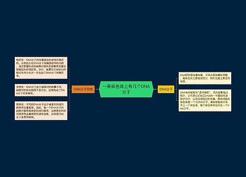 一条染色体上有几个DNA分子