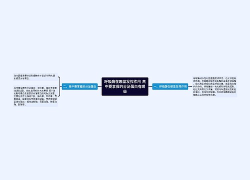 呼吸酶在哪里发挥作用 高中要掌握的分泌蛋白有哪些