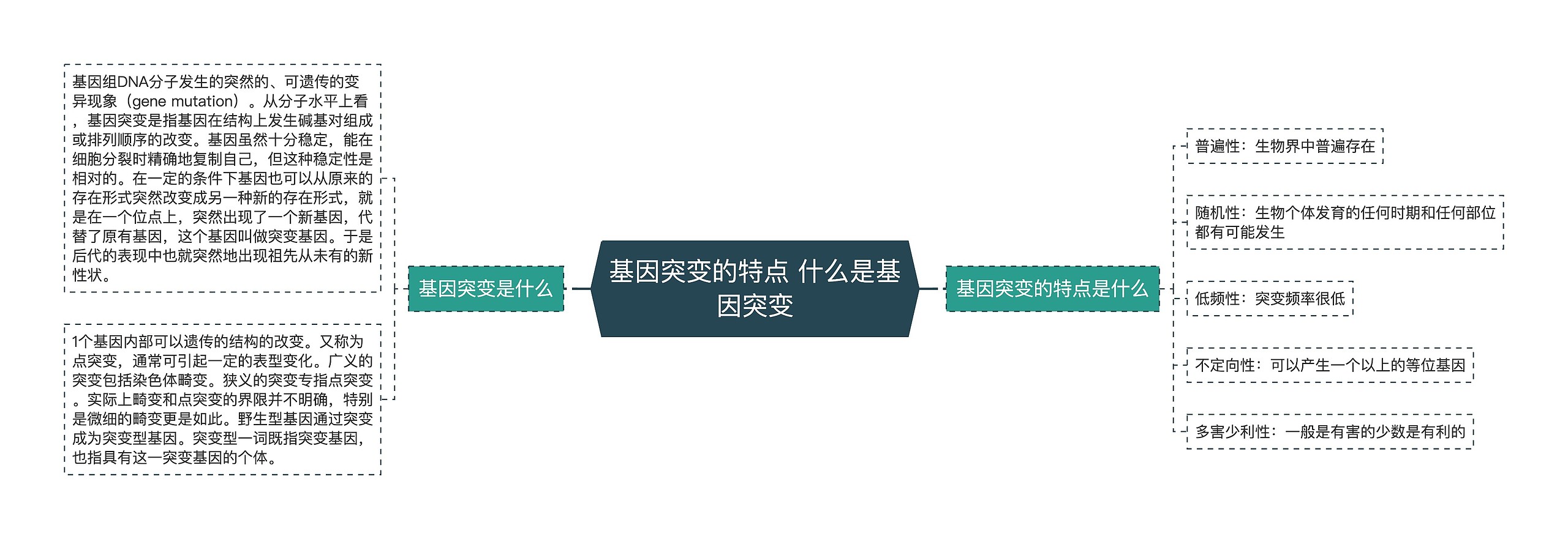 基因突变的特点 什么是基因突变