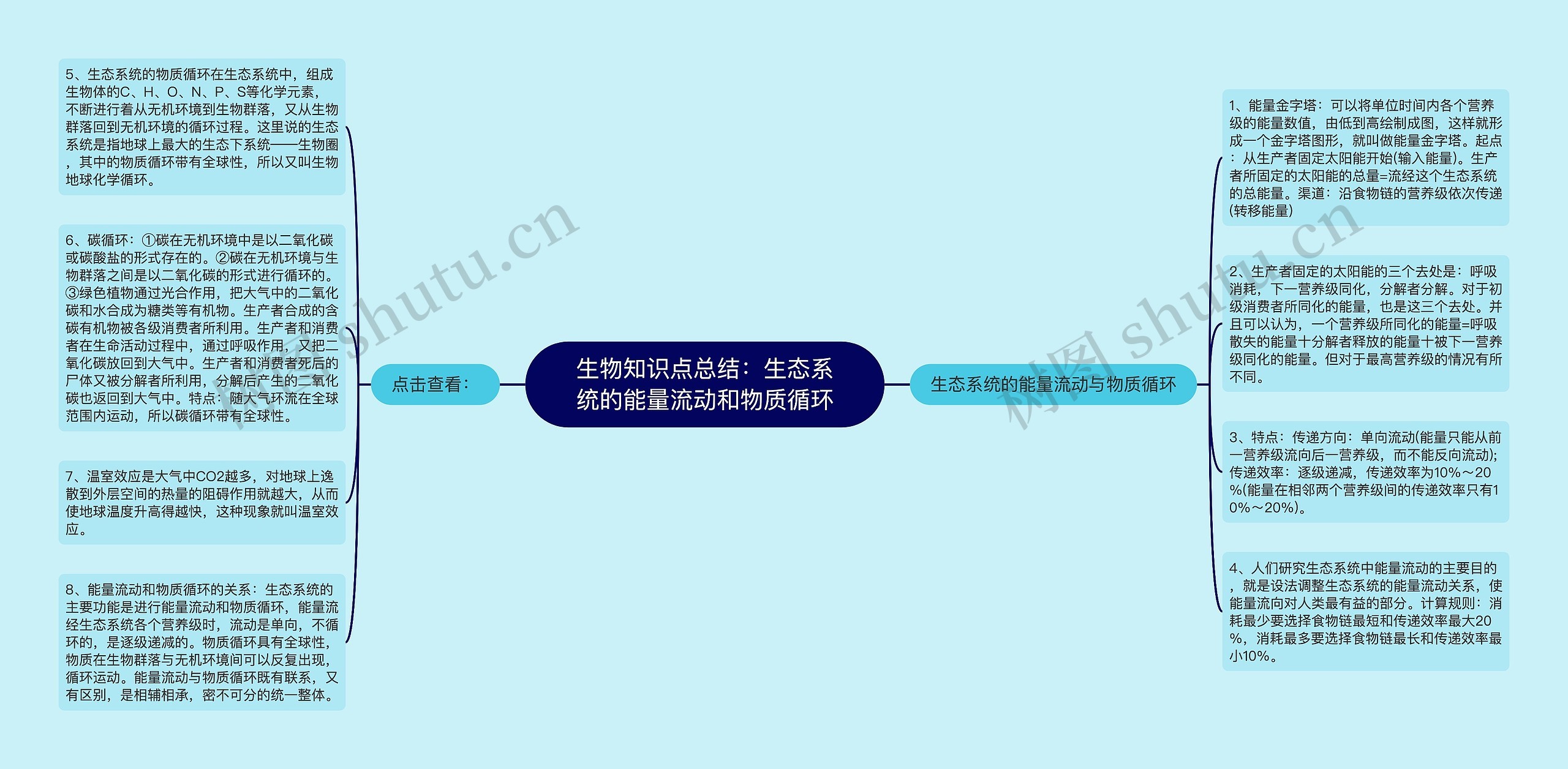 生物知识点总结：生态系统的能量流动和物质循环
