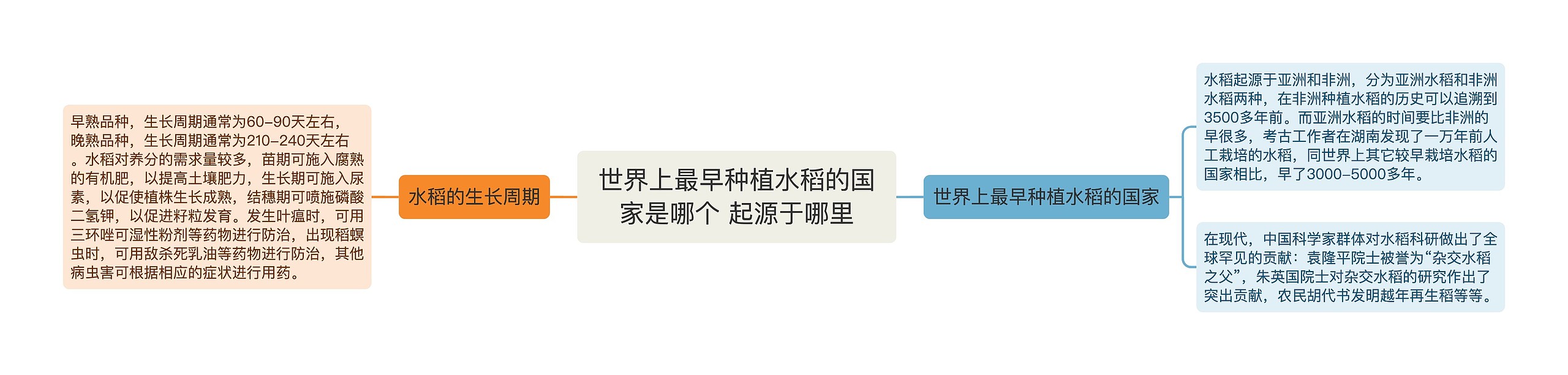世界上最早种植水稻的国家是哪个 起源于哪里思维导图高清图 世界上最早种植水稻的国家是哪个 起源于哪里思维导图