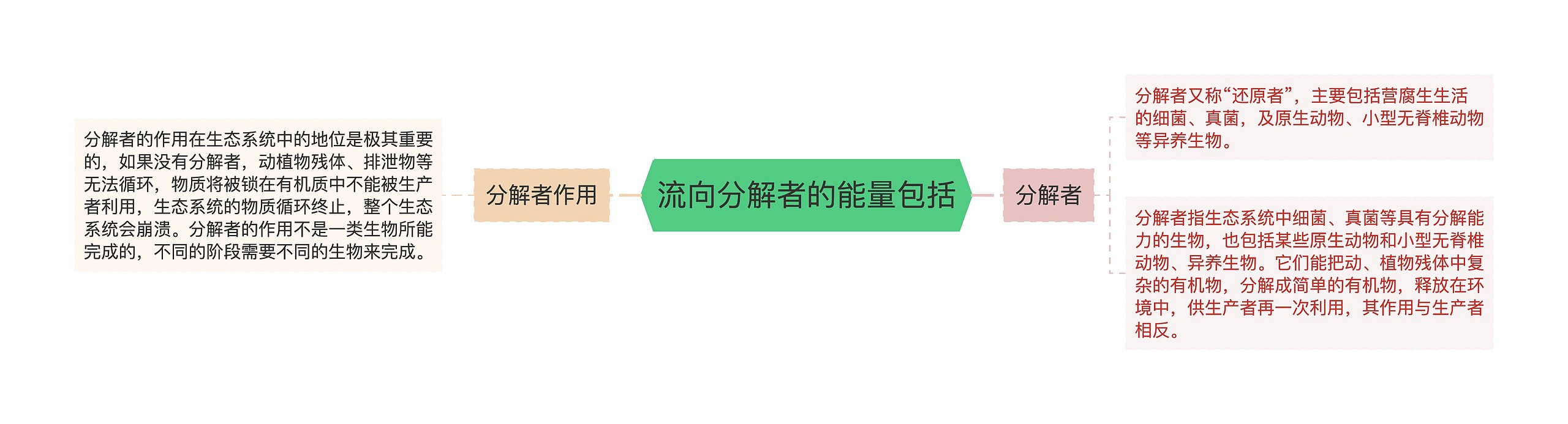 流向分解者的能量包括