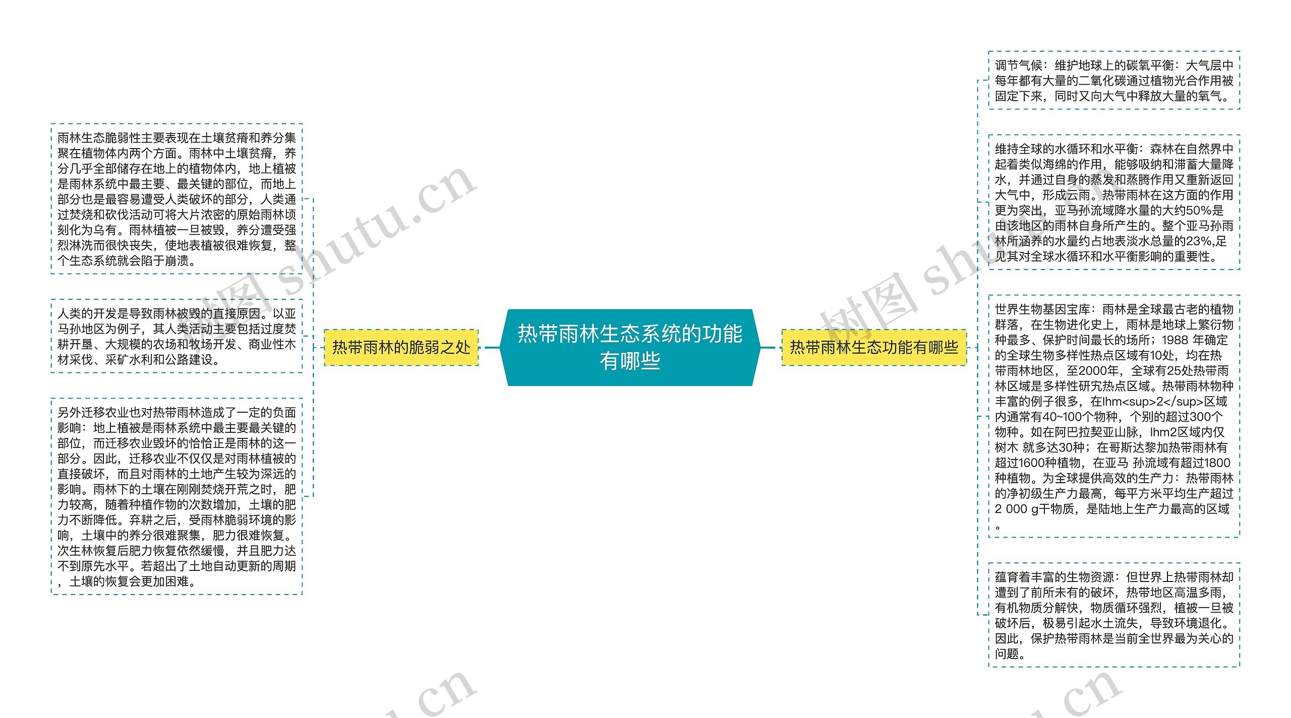 热带雨林生态系统的功能有哪些思维导图