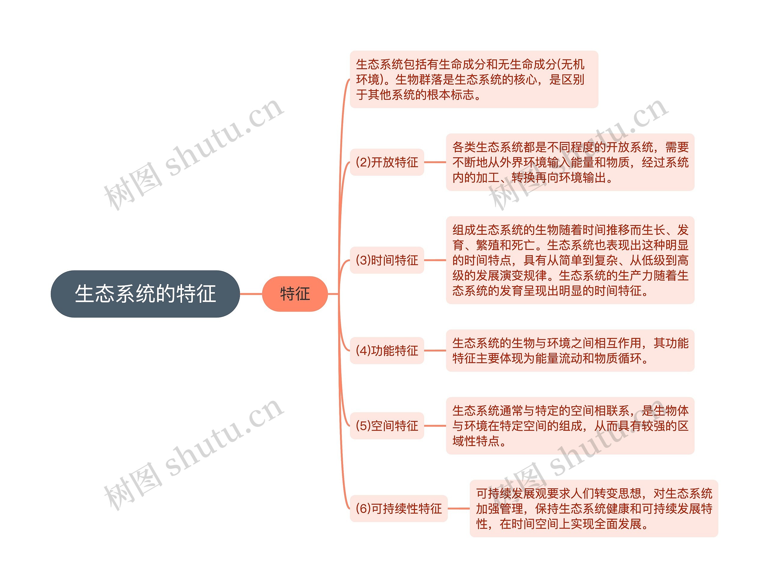 生态系统的特征思维导图