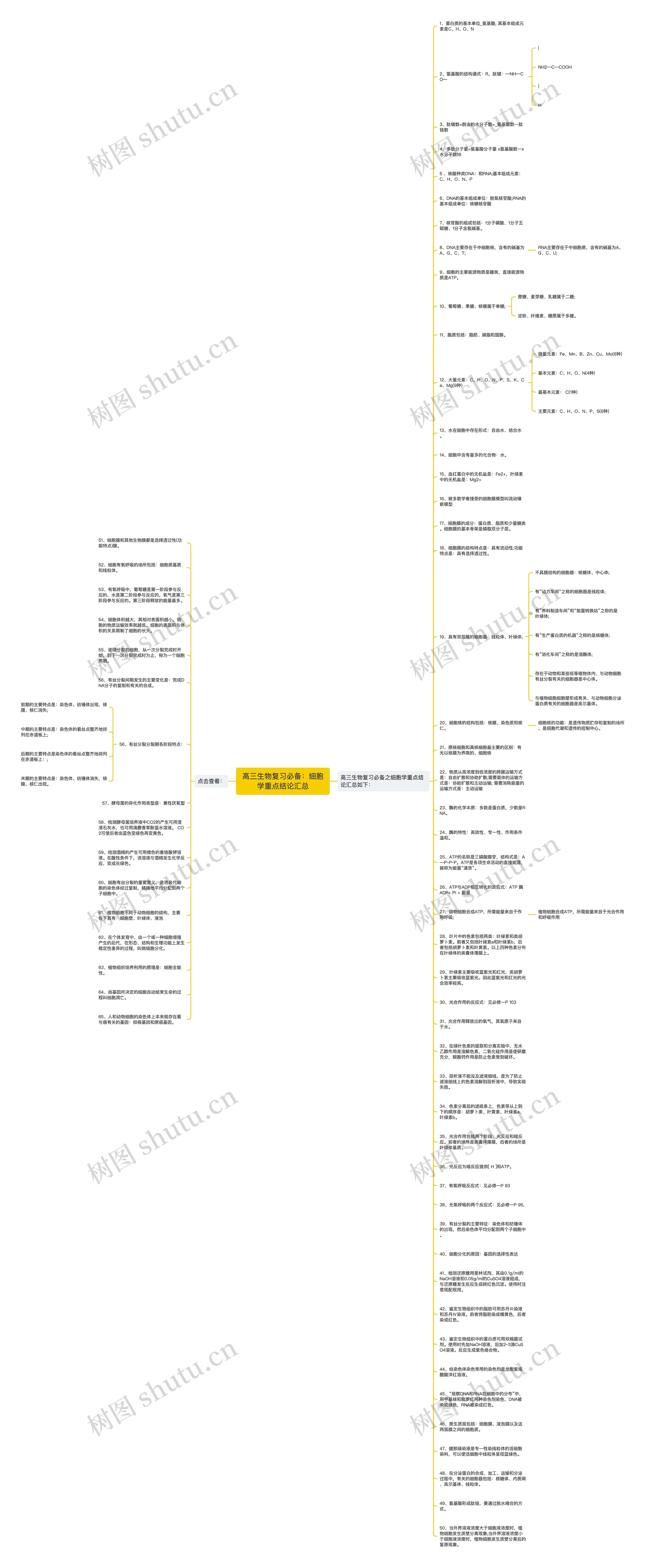 高三生物复习必备：细胞学重点结论汇总思维导图