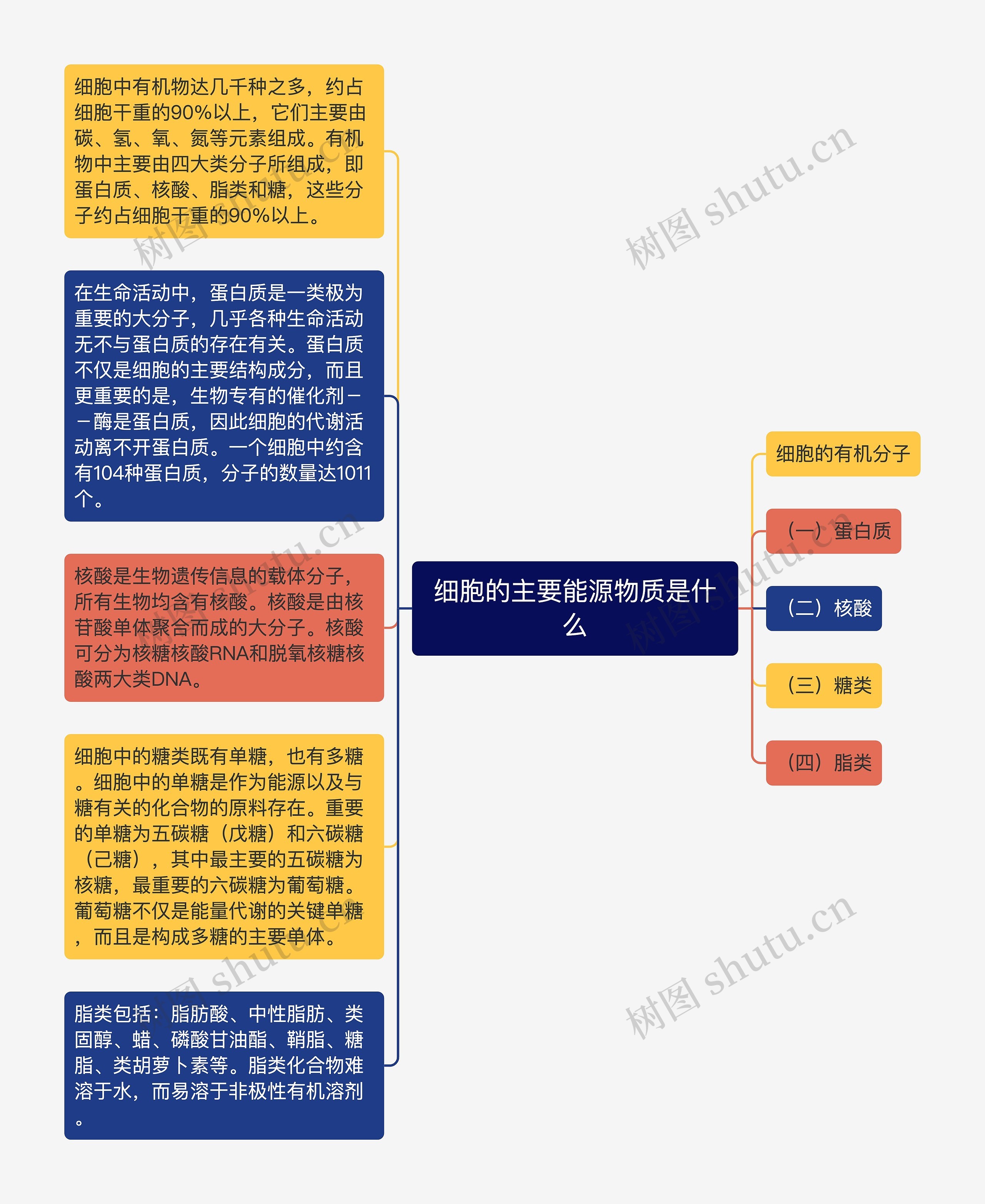 细胞的主要能源物质是什么思维导图