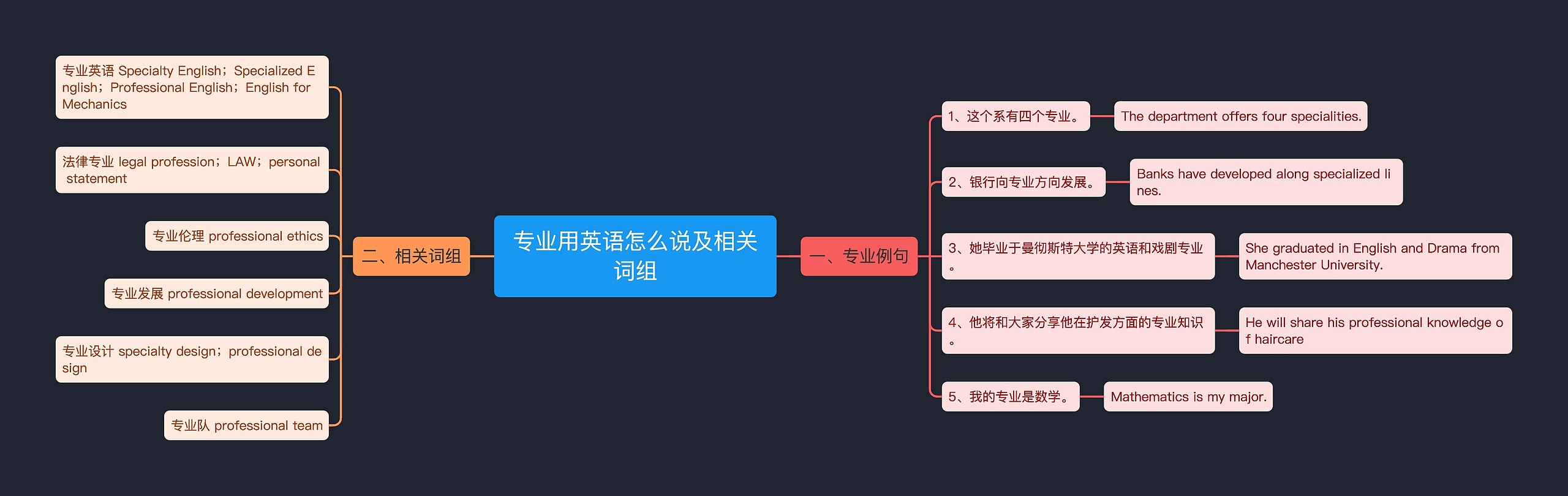 专业用英语怎么说及相关词组