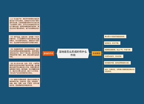 湿地是怎么形成的有什么作用