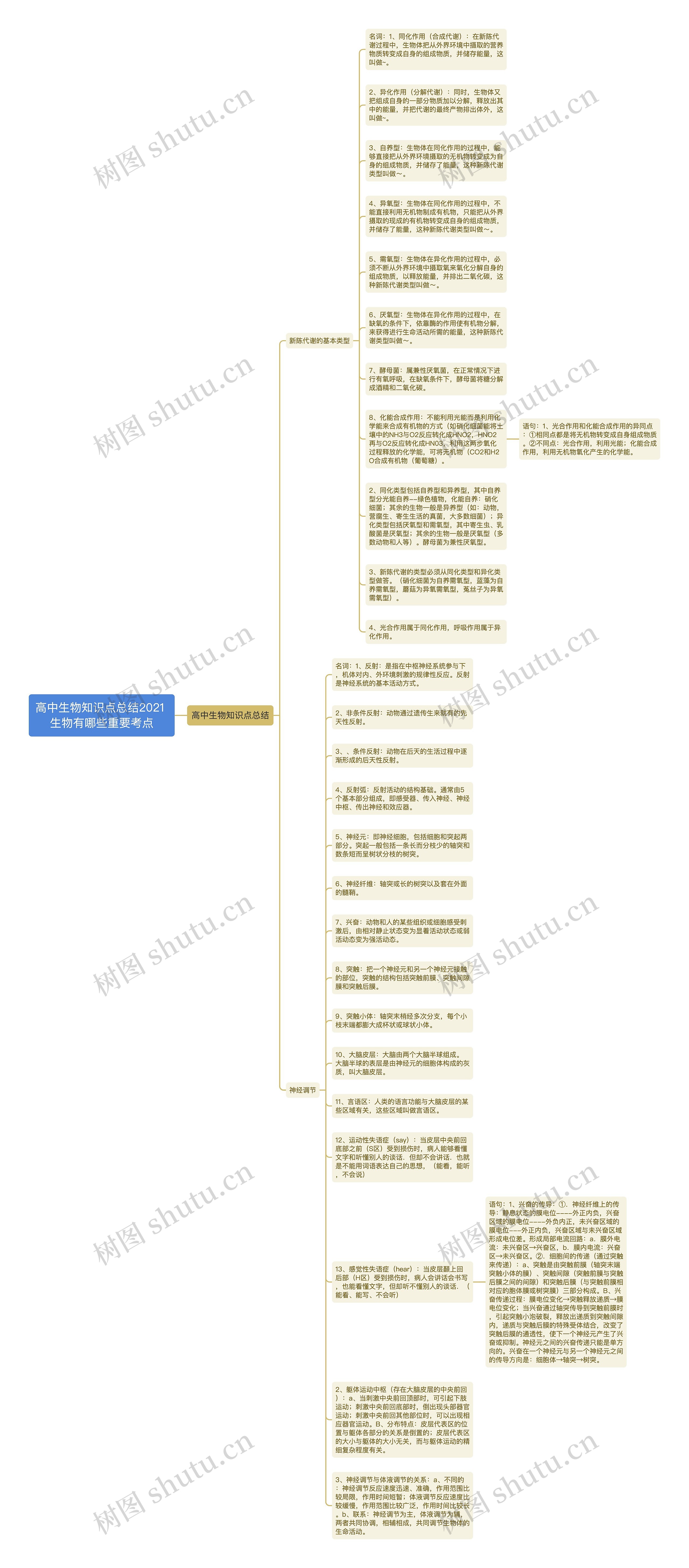 高中生物知识点总结2021 生物有哪些重要考点思维导图