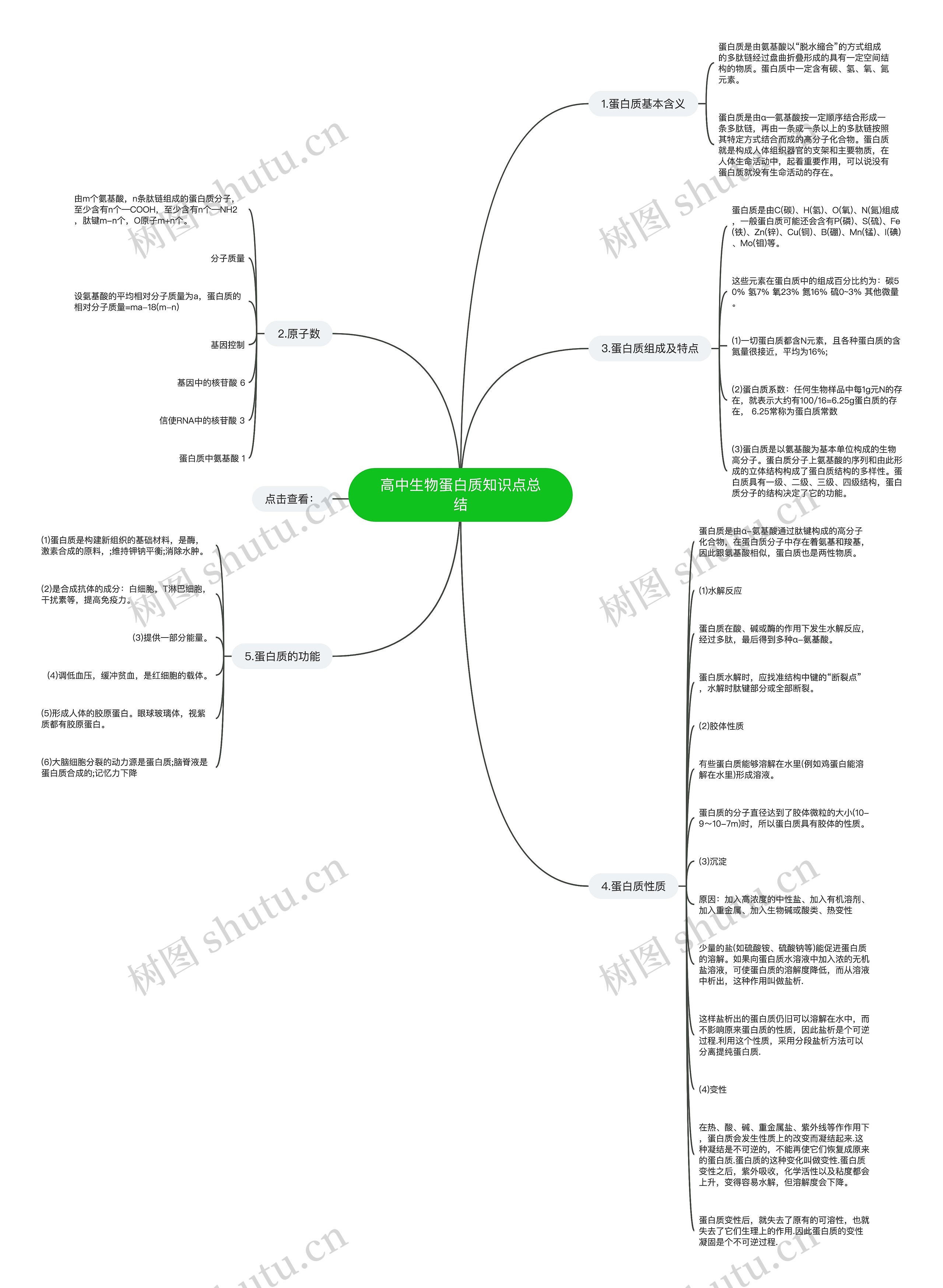 高中生物蛋白质知识点总结思维导图