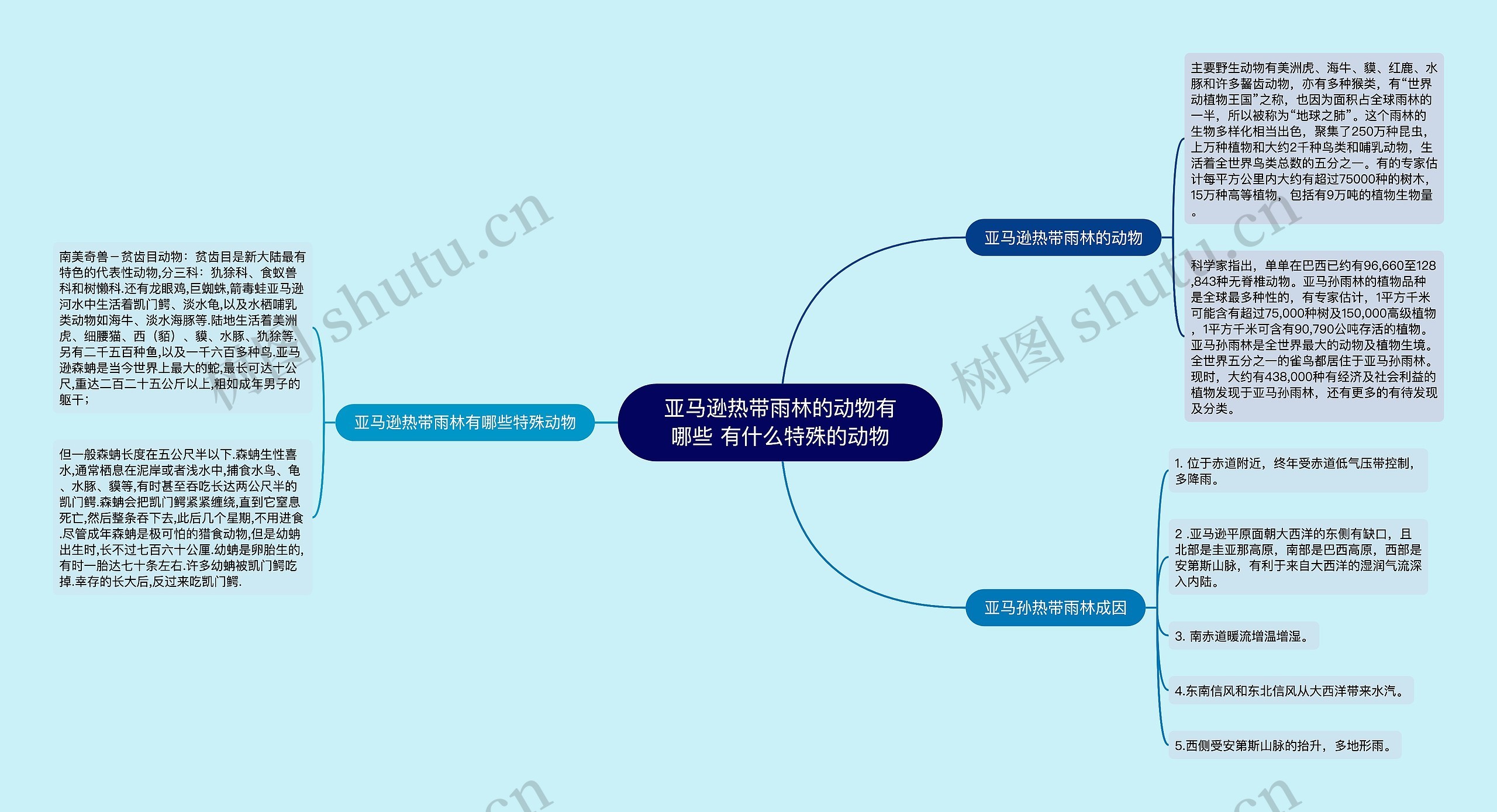 亚马逊热带雨林的动物有哪些 有什么特殊的动物思维导图