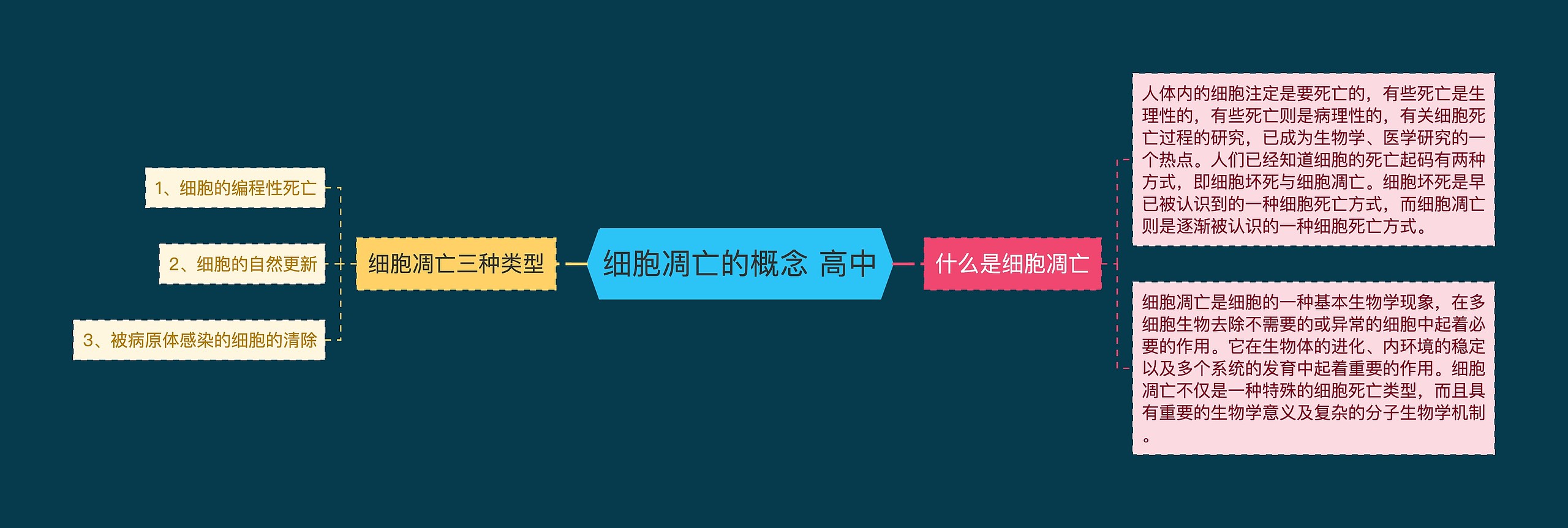 细胞凋亡的概念 高中思维导图